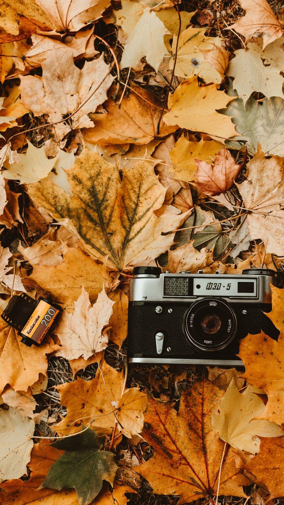Are you looking for the best aesthetic iphone fall wallpaper backgrounds that will brighten up your. Vintage Autumn Wallpapers Top Free Vintage Autumn Backgrounds Wallpaperaccess