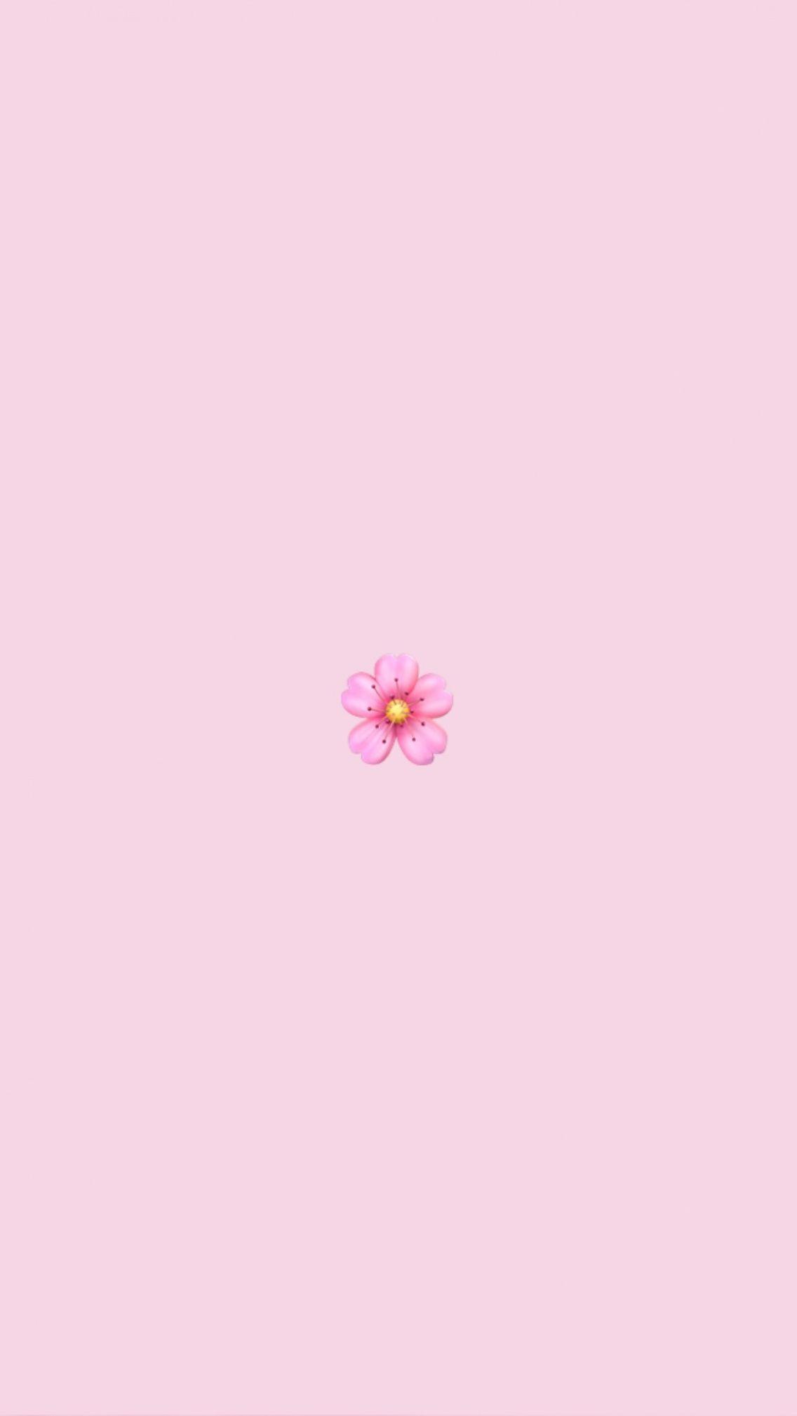 Pink Vsco Wallpapers Top Free Pink Vsco Backgrounds Wallpaperaccess