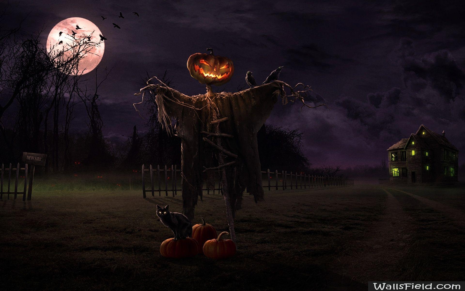You drowned as a child because those punk kid lifeguards at. Halloween Horror Wallpapers Top Free Halloween Horror Backgrounds Wallpaperaccess