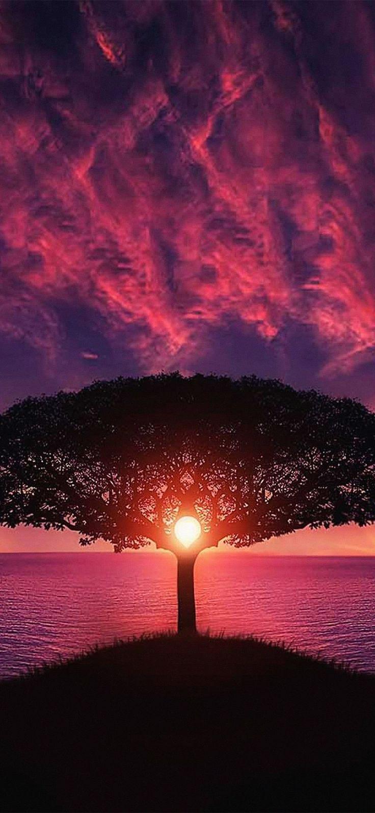 You can also upload and share your favorite pc gaming hd wallpapers. Red 6K Wallpapers - Top Free Red 6K Backgrounds