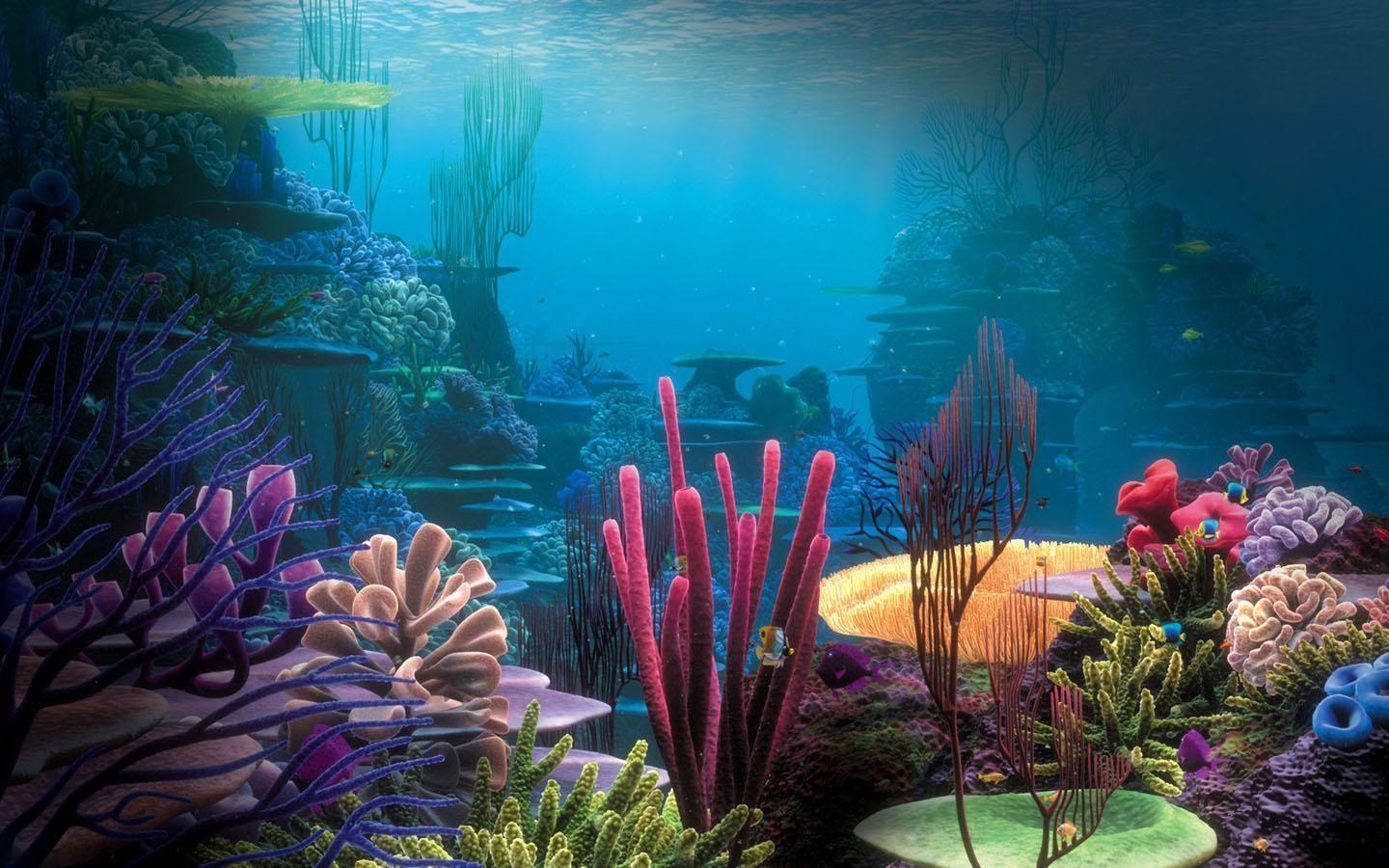 Hd Aquarium Wallpapers Top Free Hd Aquarium Backgrounds Wallpaperaccess
