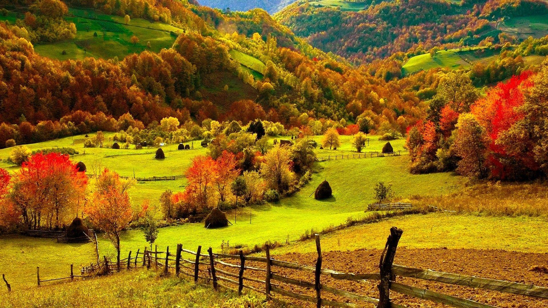 A collection of the top 63 autumn harvest wallpapers and backgrounds available for download for free. Fall Harvest Wallpapers Top Free Fall Harvest Backgrounds Wallpaperaccess