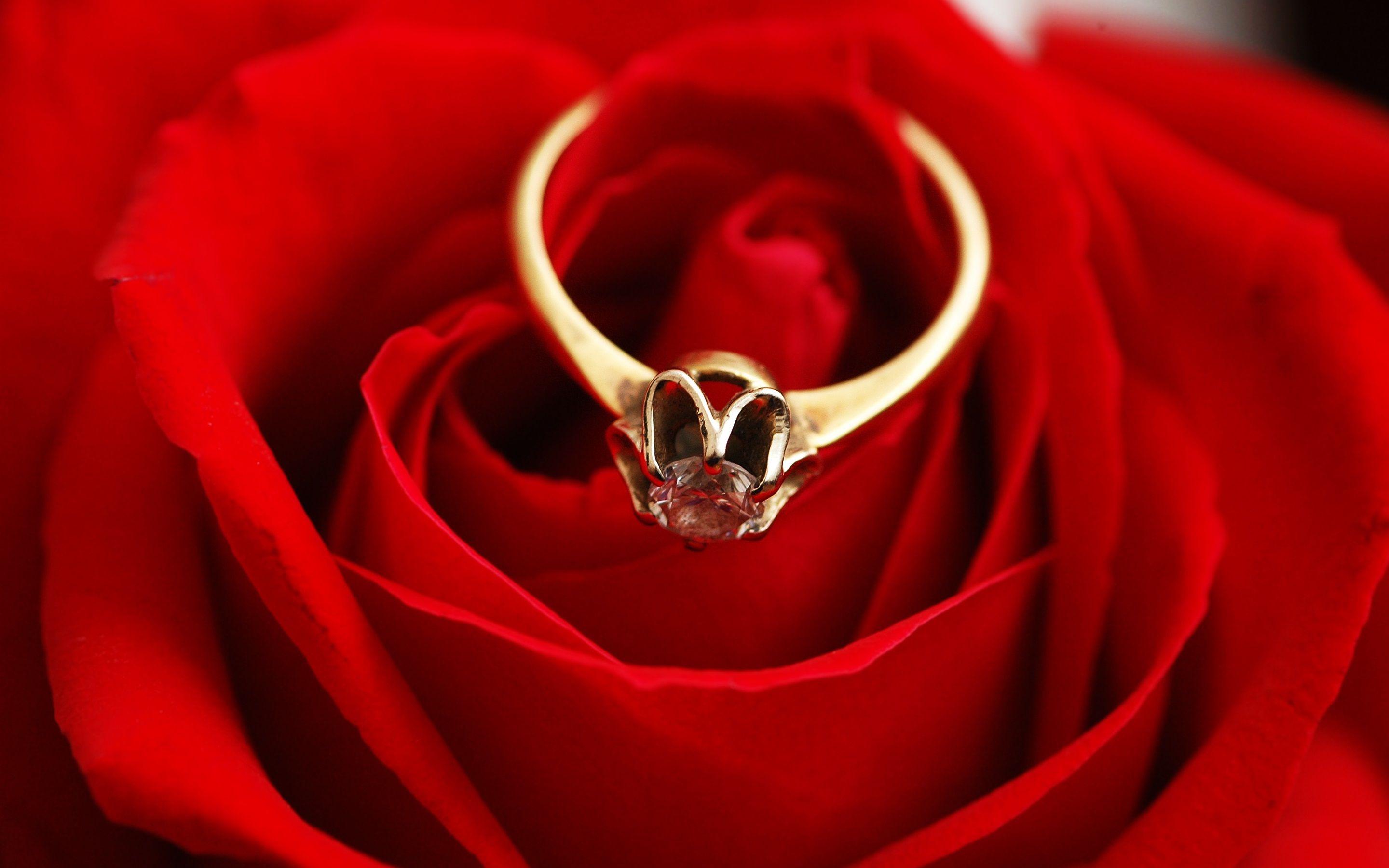 The subtle faux linen backdrop allows the diamonds to shine. Diamond Roses Wallpapers Top Free Diamond Roses Backgrounds Wallpaperaccess