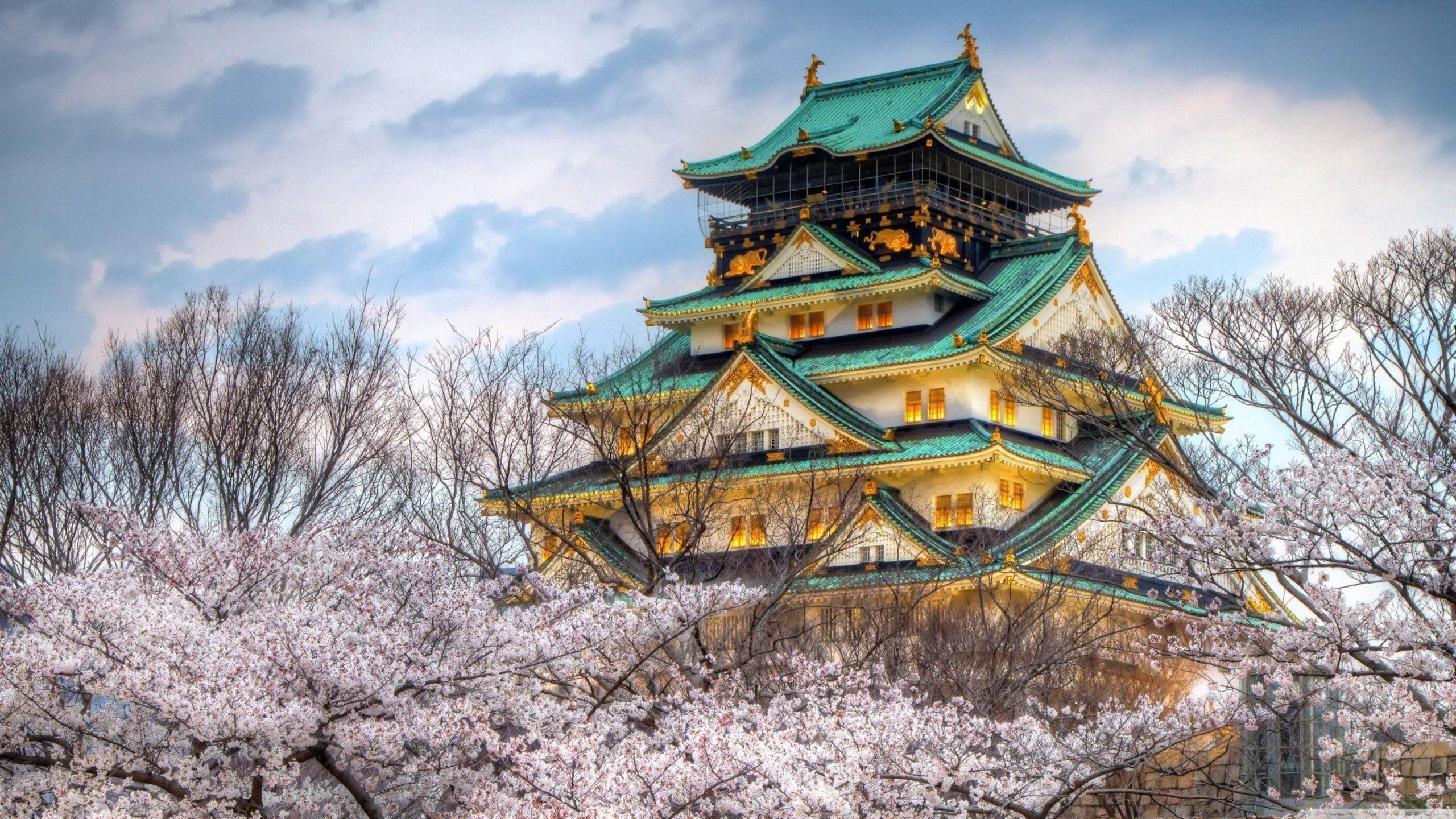 Download hd wallpapers for free on unsplash. Japan Castle Wallpapers Top Free Japan Castle Backgrounds Wallpaperaccess