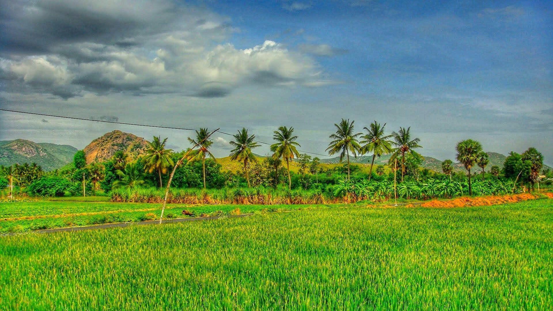 Get bourke's luck potholes (mpumalanga, south africa) wallpaper. Tamil Nadu HD Wallpapers - Top Free Tamil Nadu HD Backgrounds - WallpaperAccess