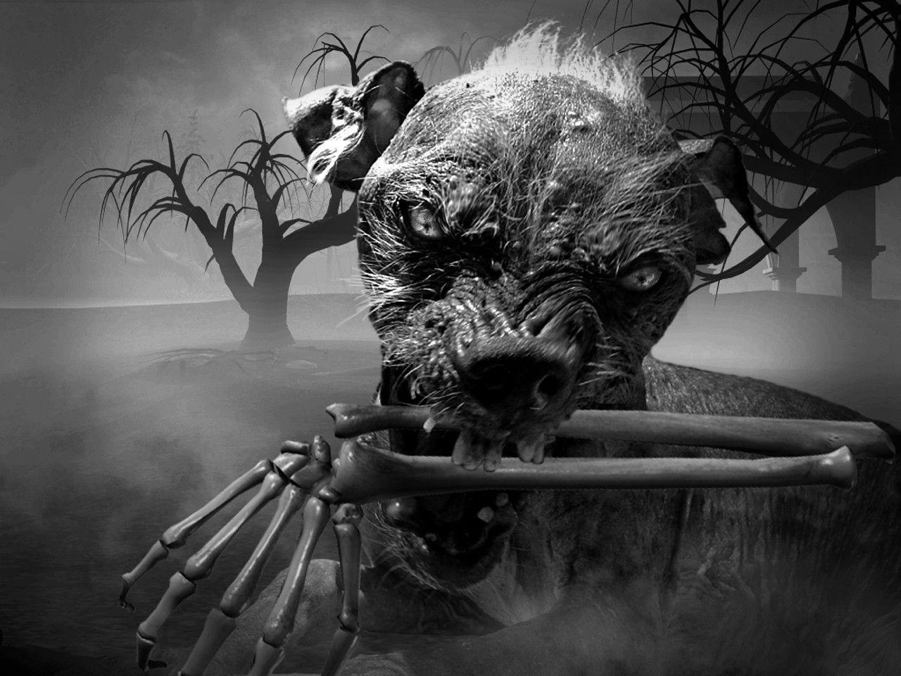 He is part of an elite special tactics and rescue team. 3d Art Wallpapers Top Free 3d Art Backgrounds Wallpaperaccess