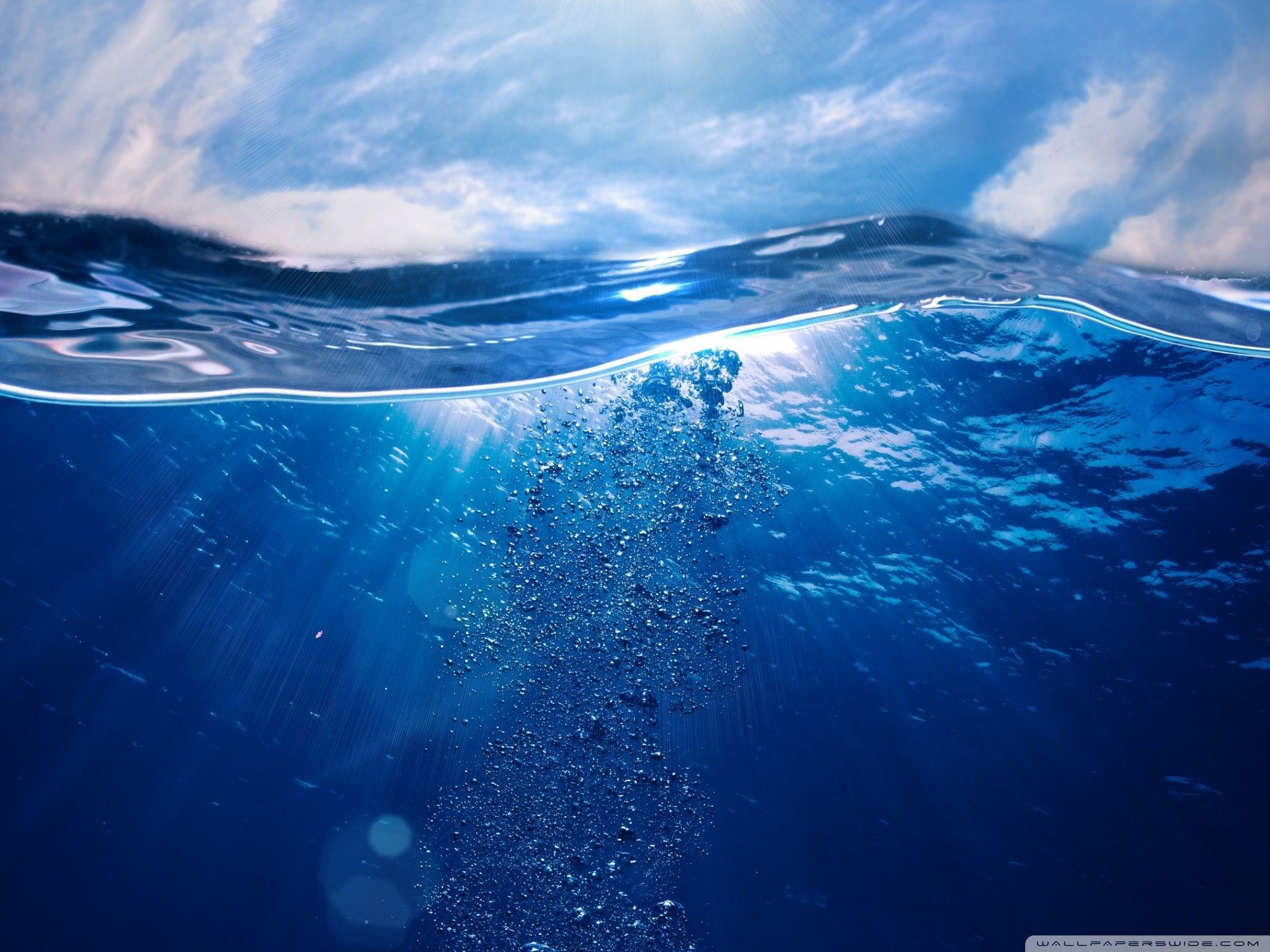 Choosing sustainably caught seafood can help save our endangered marine life we may earn commission from links on this page, but we only recommend products we back. Blue Ocean 8k Wallpapers Top Free Blue Ocean 8k Backgrounds Wallpaperaccess