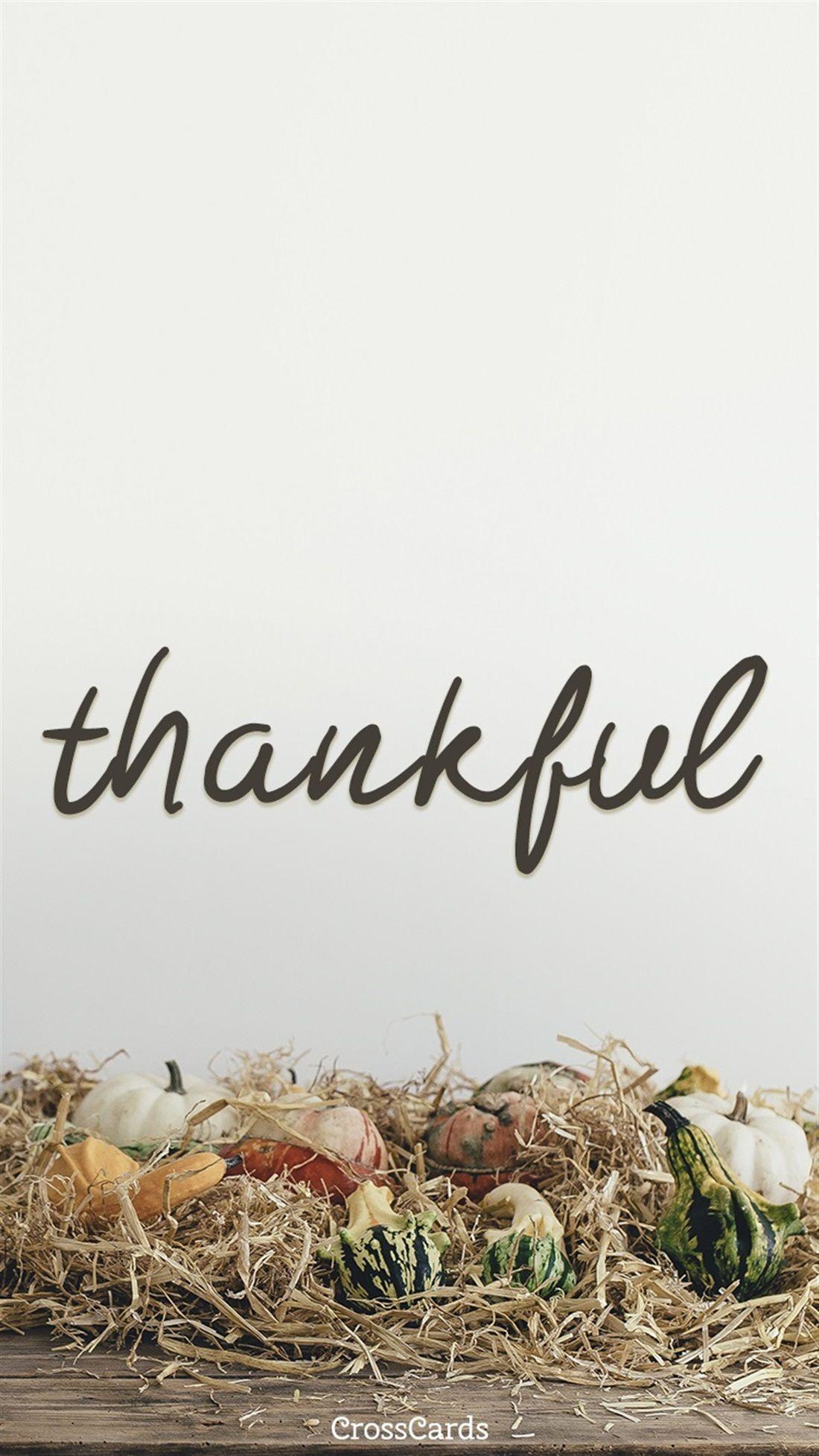 Download in under 30 seconds. Thankful Wallpapers Top Free Thankful Backgrounds Wallpaperaccess