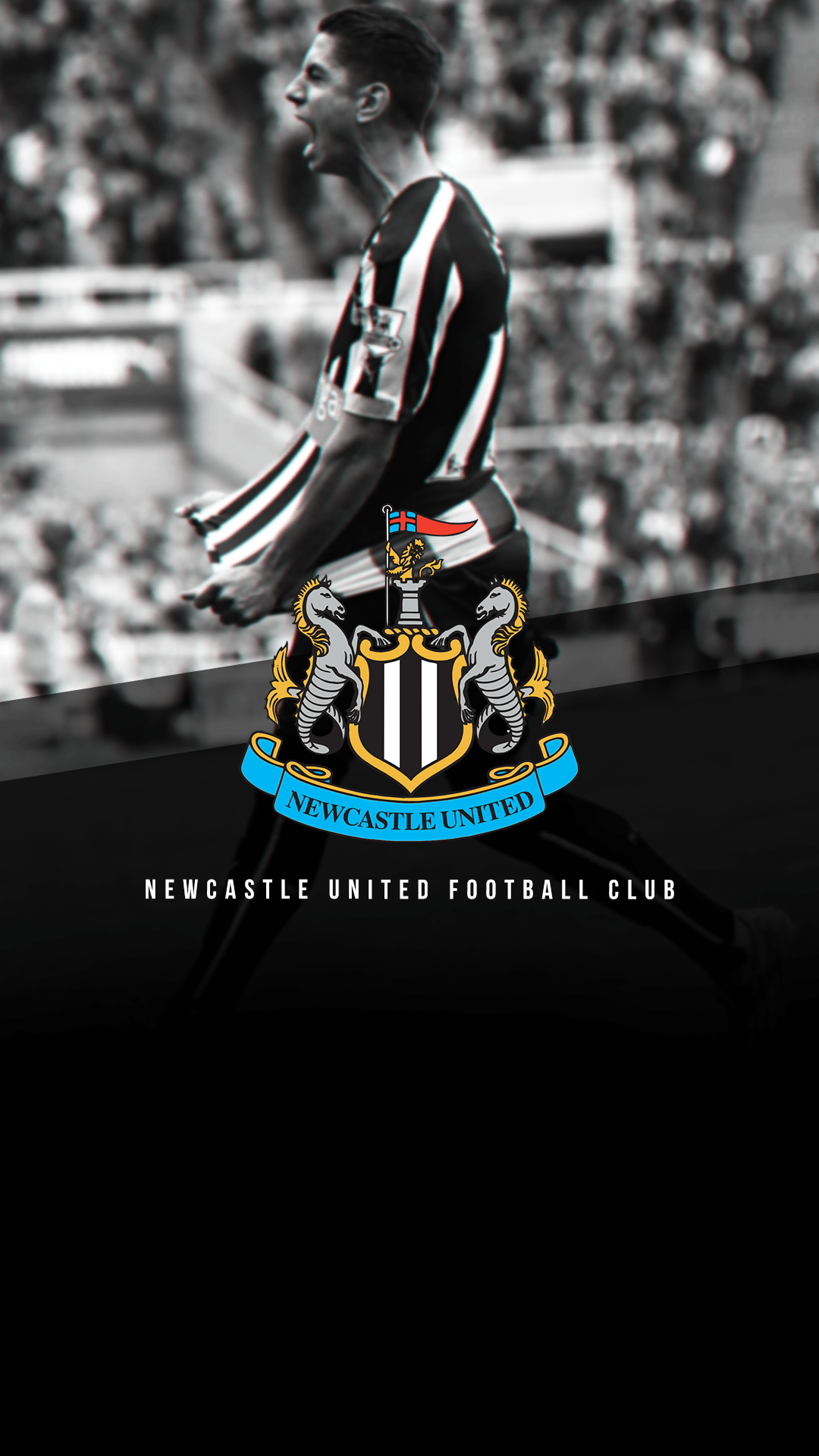 Logo new castle united, newcastle united, sepakbola, logo, refleksi, wallpaper hd. Newcastle United Wallpapers - Top Free Newcastle United