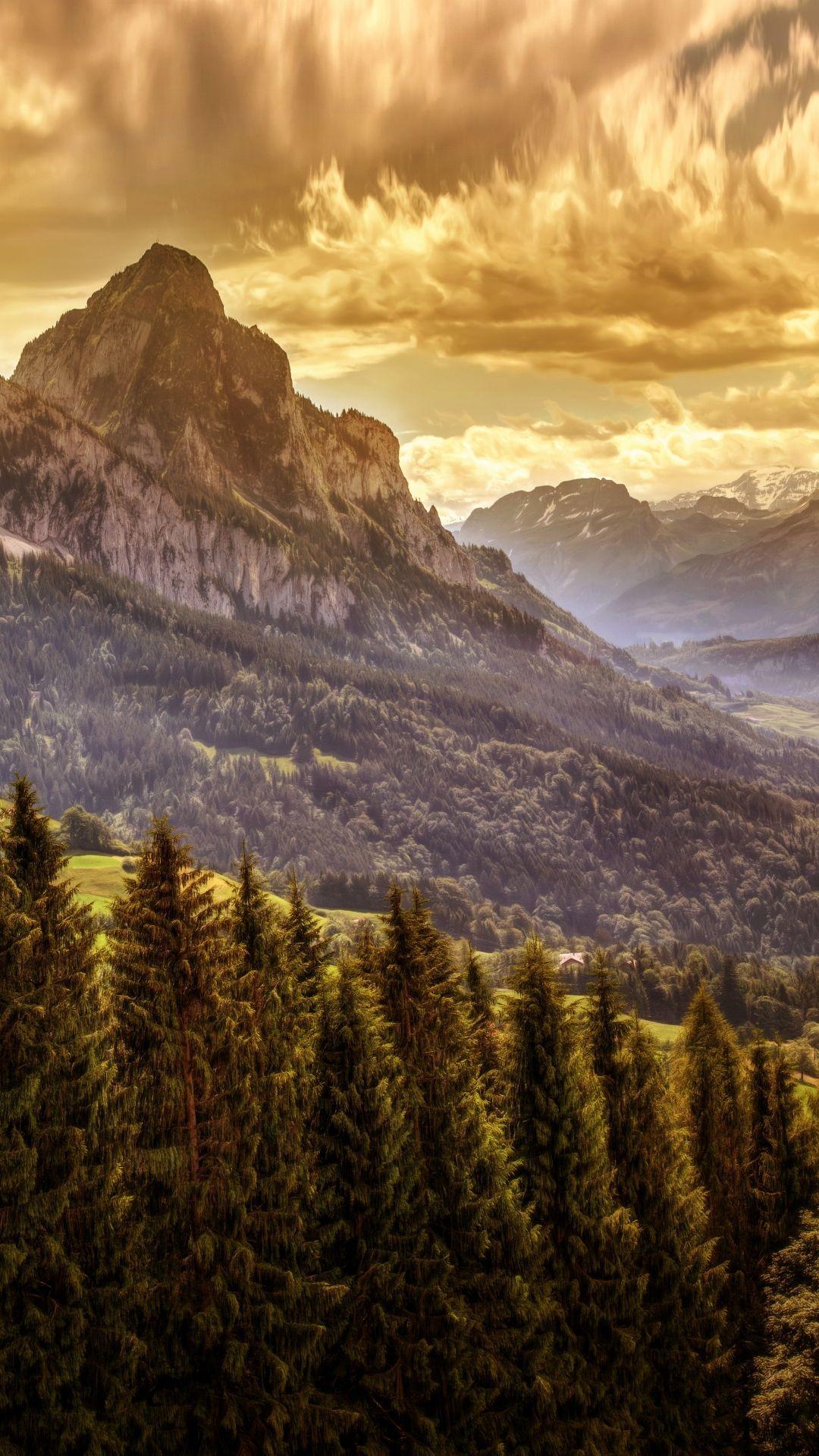 The wallpaper trend is going strong. High Quality Mobile Wallpapers Top Free High Quality Mobile Backgrounds Wallpaperaccess