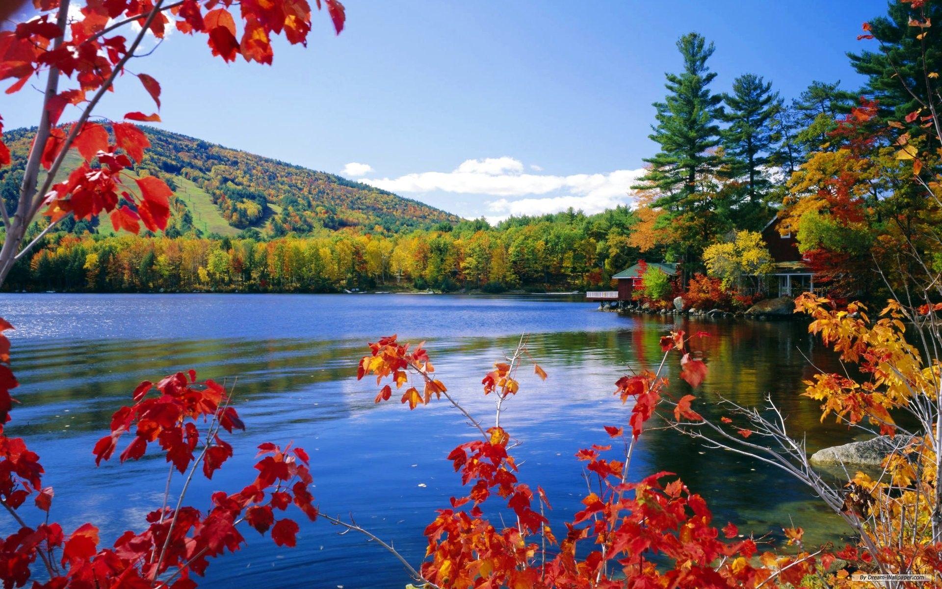 You can select images for computers, including laptops and other mobile devices such as tablets, smart phones and mobile phones, and even. High Resolution Nature Desktop Wallpapers Top Free High Resolution Nature Desktop Backgrounds Wallpaperaccess