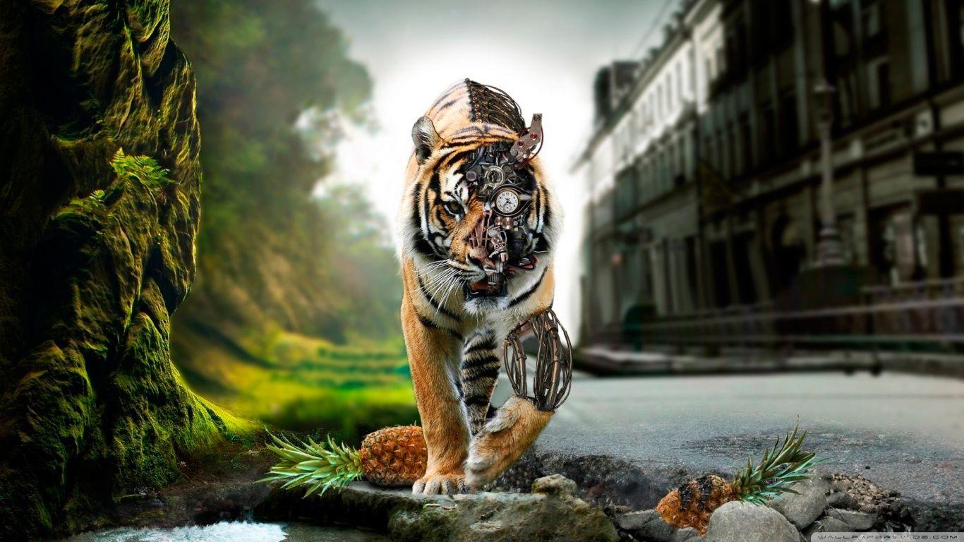 Colorful outdoor backgrounds can help you to feel relaxed or energized for the rest of the day. Top Free Wallpapers Top Free Top Free Backgrounds Wallpaperaccess