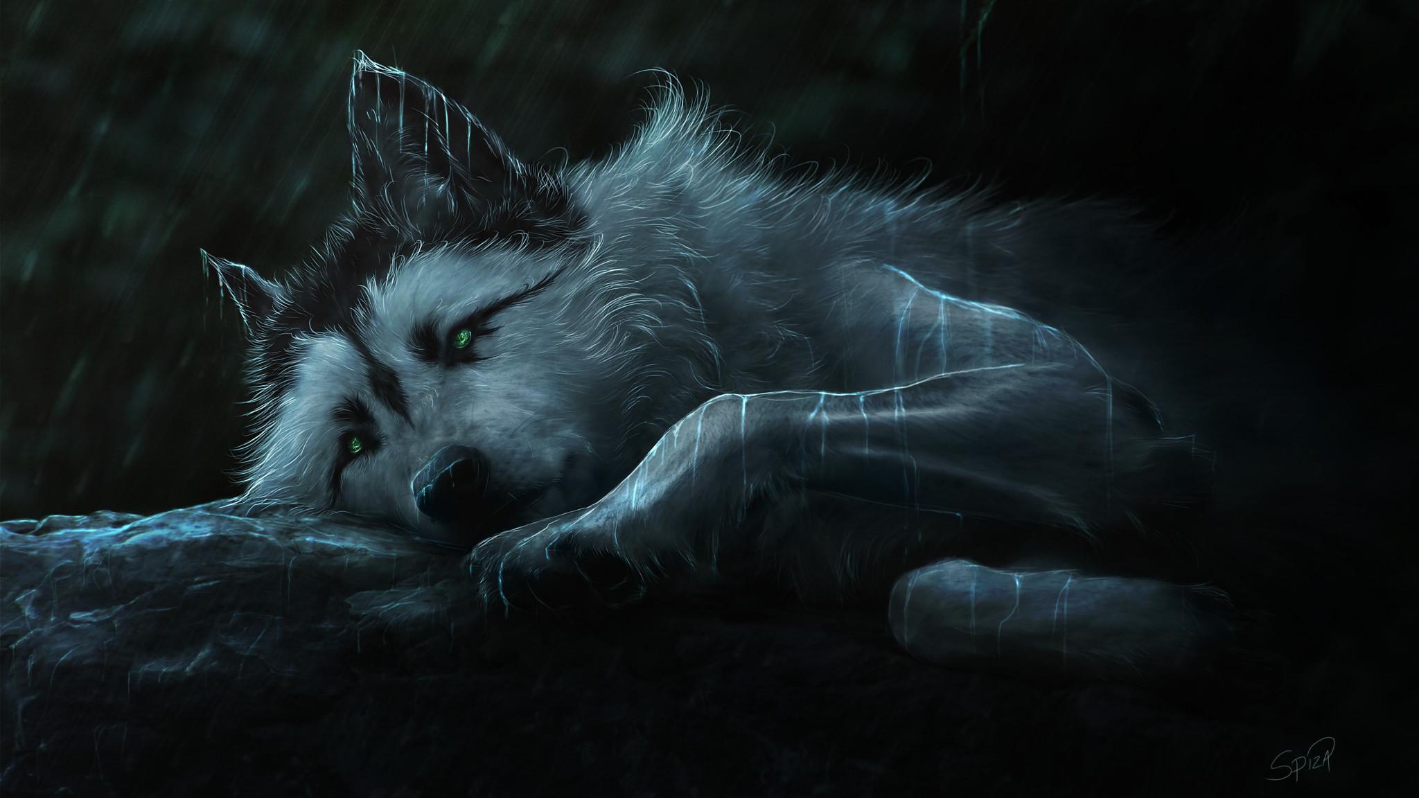 Depressed Sad Anime Wolf Boy : Sad Wolf Wallpapers Top Free Sad Wolf Backgrounds Wallpaperaccess