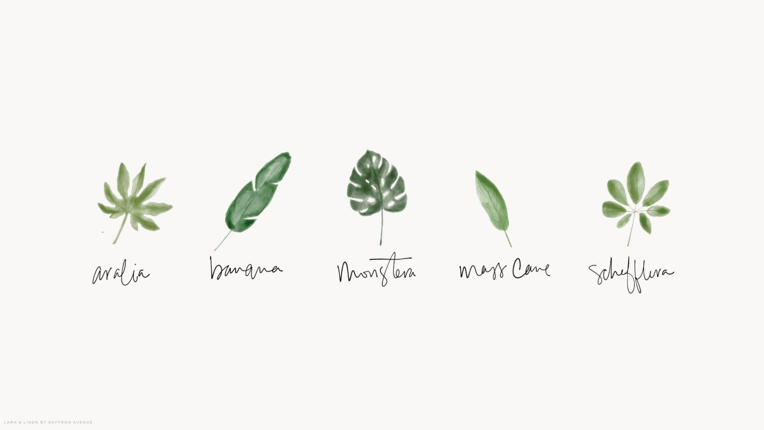 Download the perfect plant wallpaper pictures. Plant Computer Wallpapers Top Free Plant Computer Backgrounds Wallpaperaccess