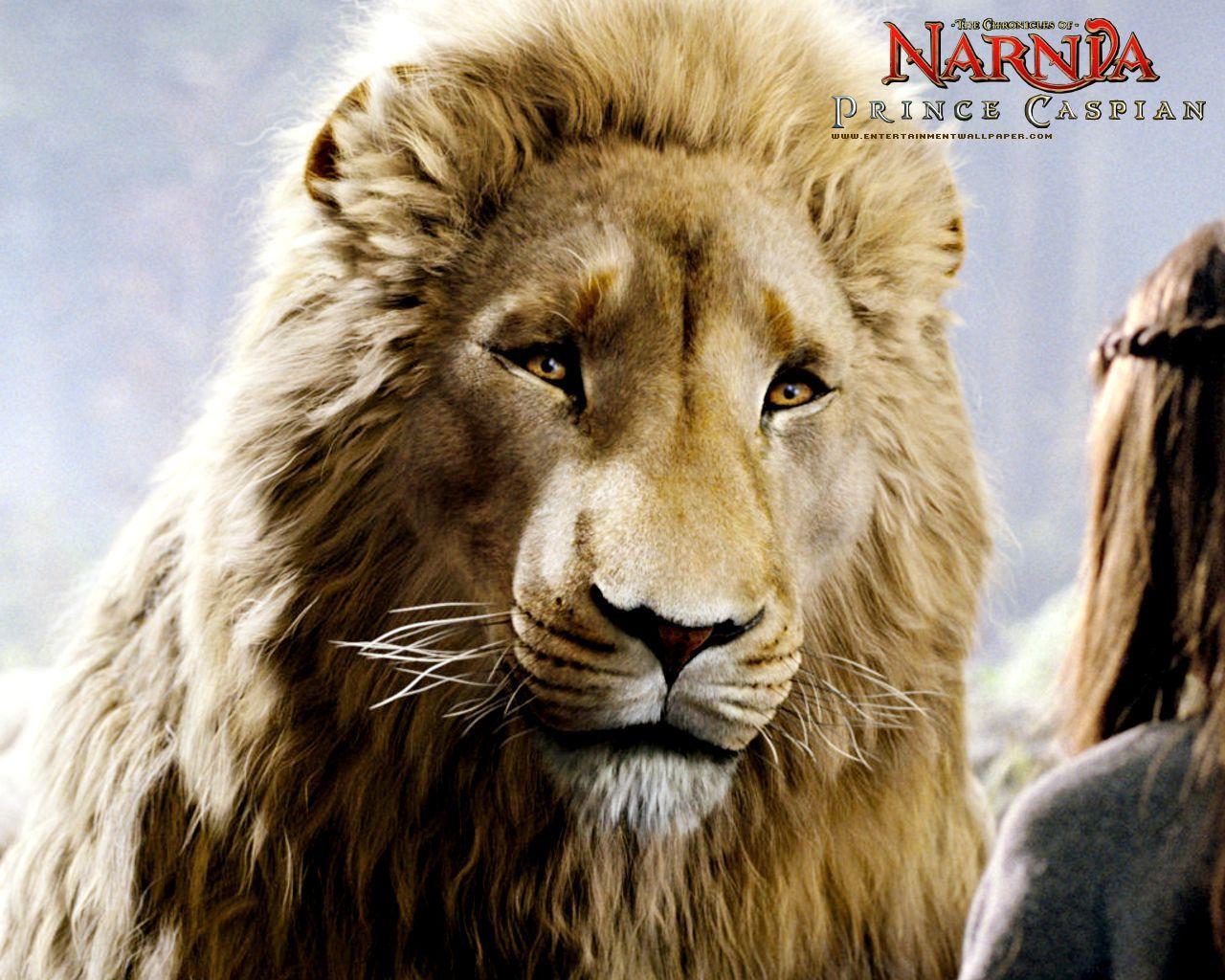 Aslan Wallpapers - Top Free Aslan Backgrounds - Wallpaperaccess 1024_x_1280_jpg