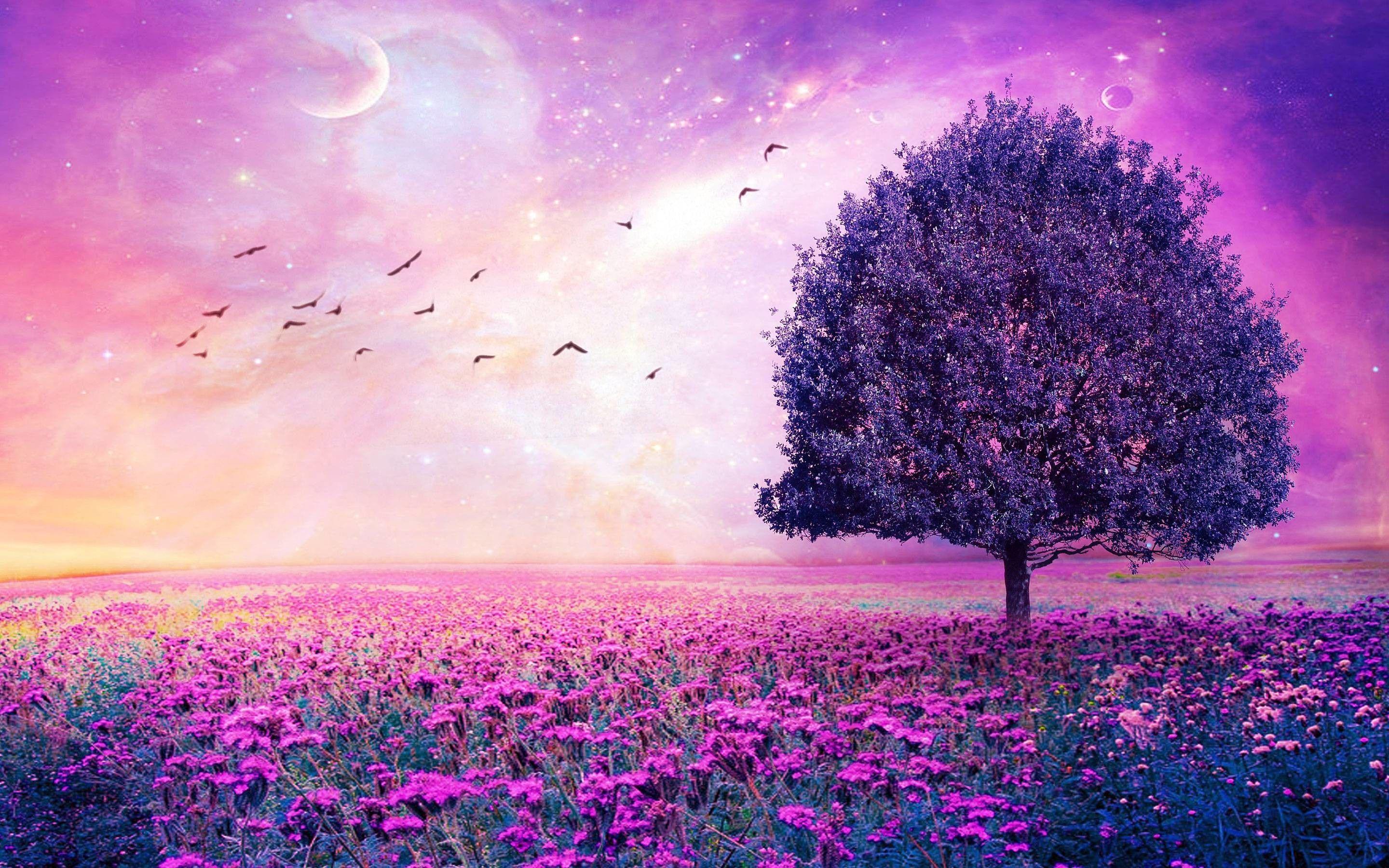 675 264 hd 1:06 trees forest fog snow. Pink Trees Wallpapers Top Free Pink Trees Backgrounds Wallpaperaccess