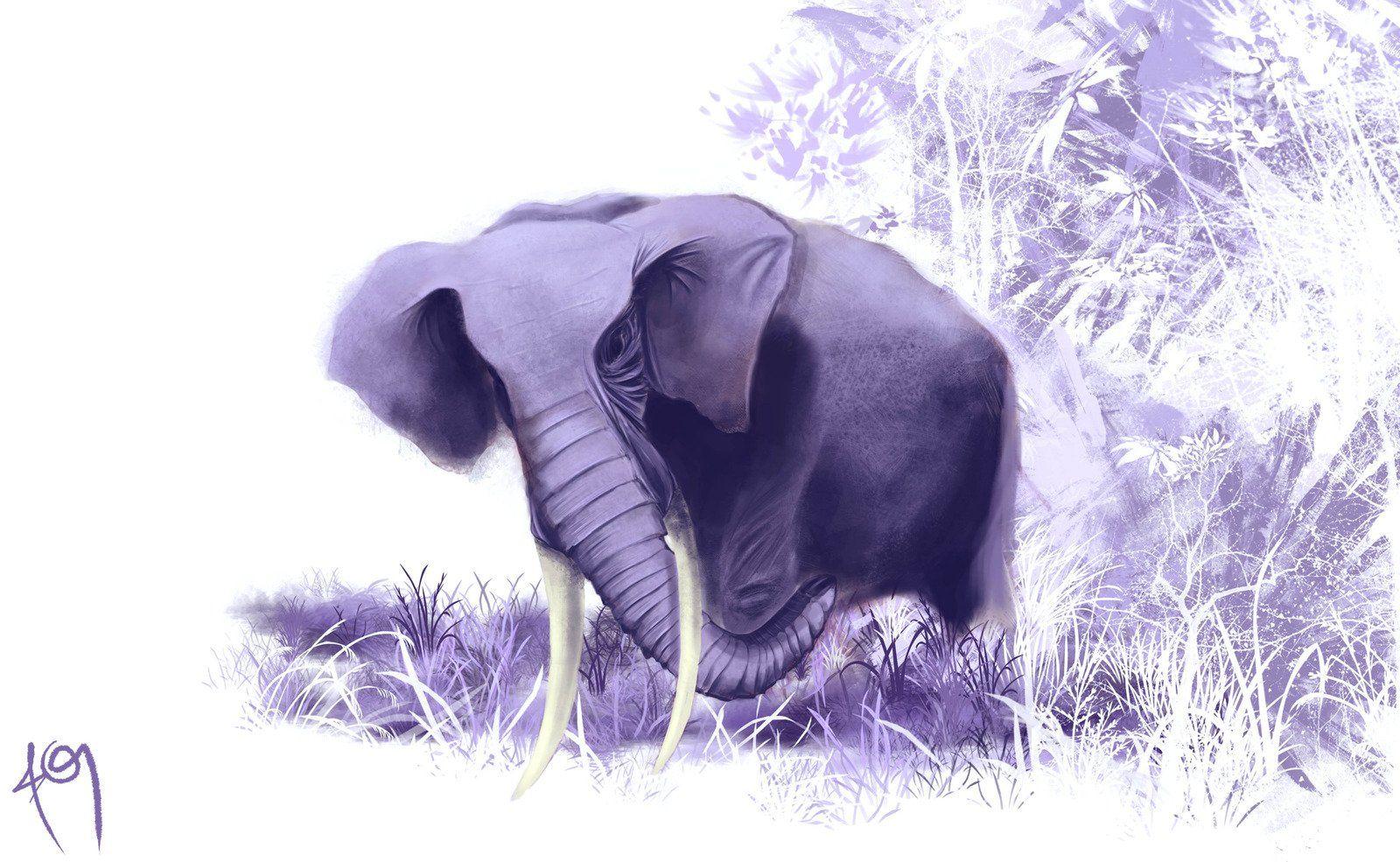 Explore and download for free tons of high quality elephant wallpapers and backgrounds! Purple Elephant Desktop Wallpapers Top Free Purple Elephant Desktop Backgrounds Wallpaperaccess