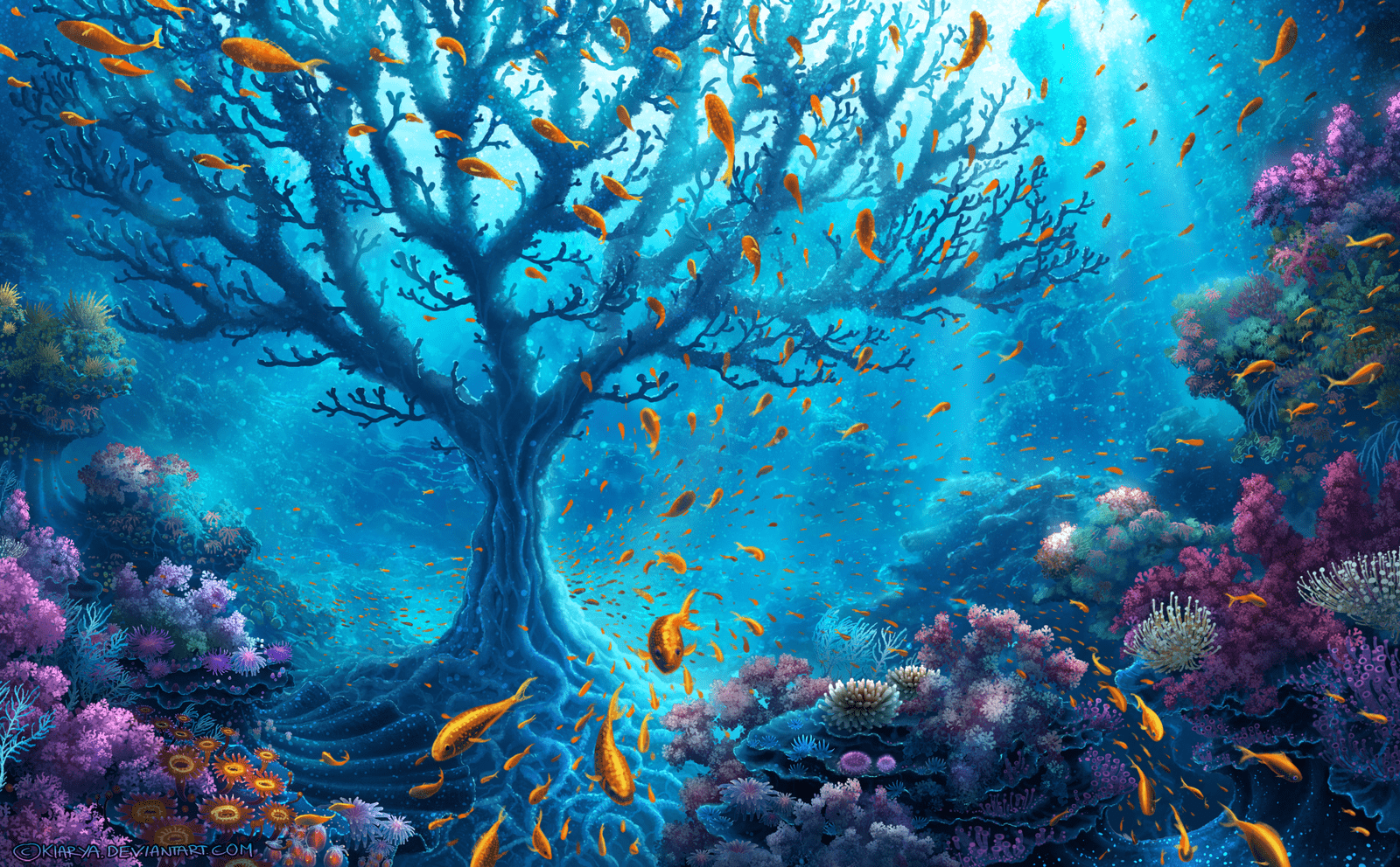 Beautiful sea, cool underwater view. Cool Underwater Wallpapers Top Free Cool Underwater Backgrounds Wallpaperaccess