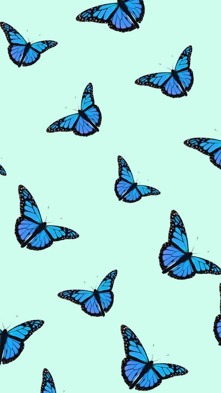 Blue butterfly wall sticker to be happy inspirational quotes wall decals big animal wall art peel and stick wallpaper for bedroom . Blue Butterfly Aesthetic Wallpapers Top Free Blue Butterfly Aesthetic Backgrounds Wallpaperaccess