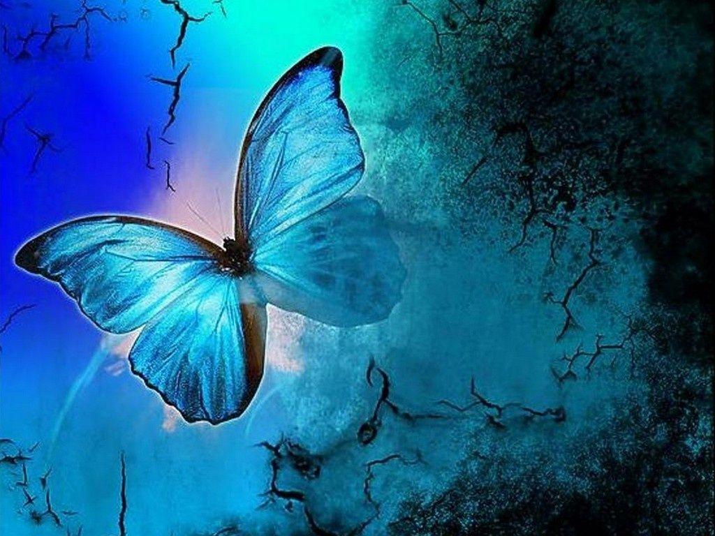 62000+ vectors, stock photos & psd files. Blue Butterfly Aesthetic Wallpapers - Top Free Blue Butterfly Aesthetic