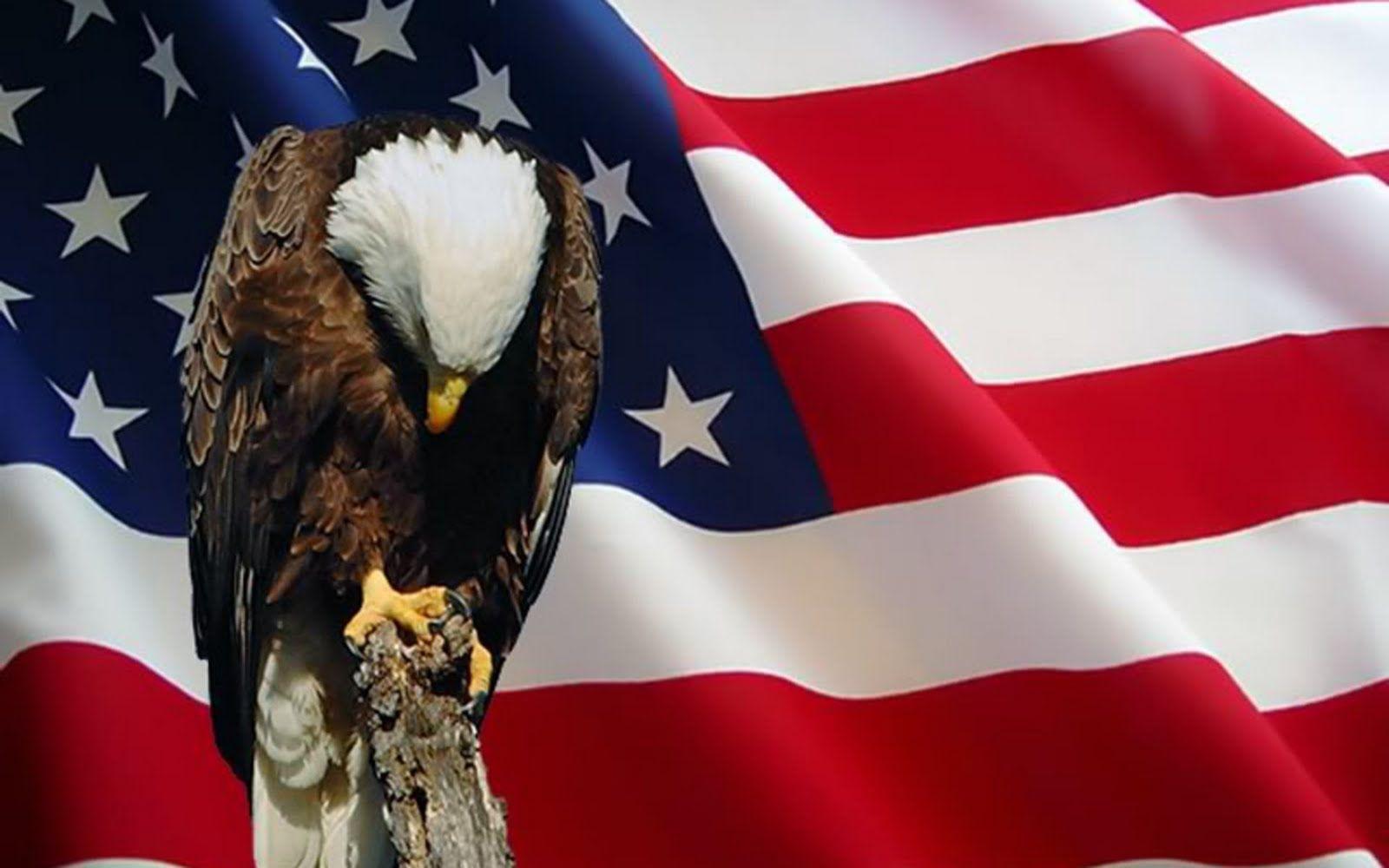John donovan as americans, it might be healthy for us to admit that we, the peopl. Patriotic Eagle Wallpapers Top Free Patriotic Eagle Backgrounds Wallpaperaccess
