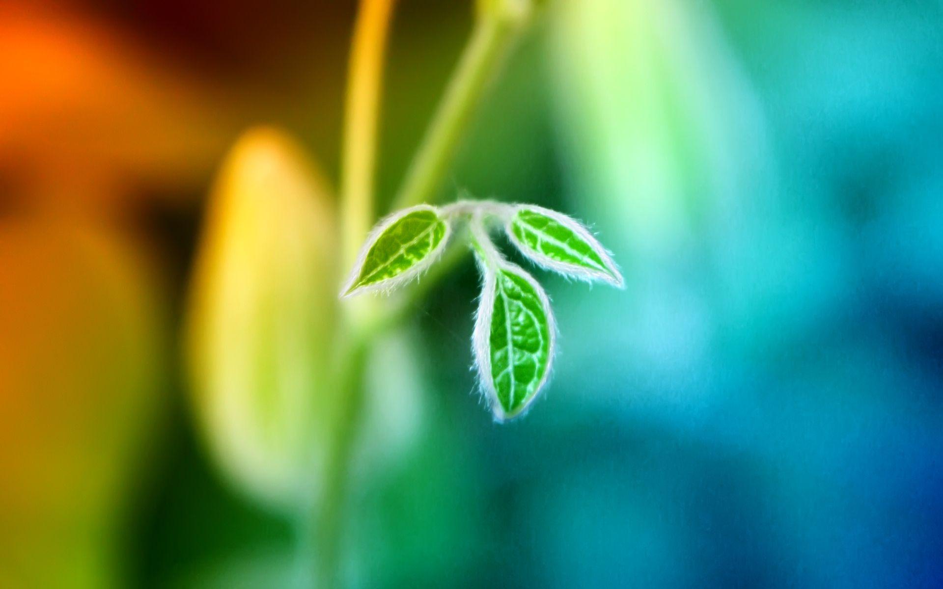 Free for commercial use ✓ no attribution required . New Life Wallpapers Top Free New Life Backgrounds Wallpaperaccess
