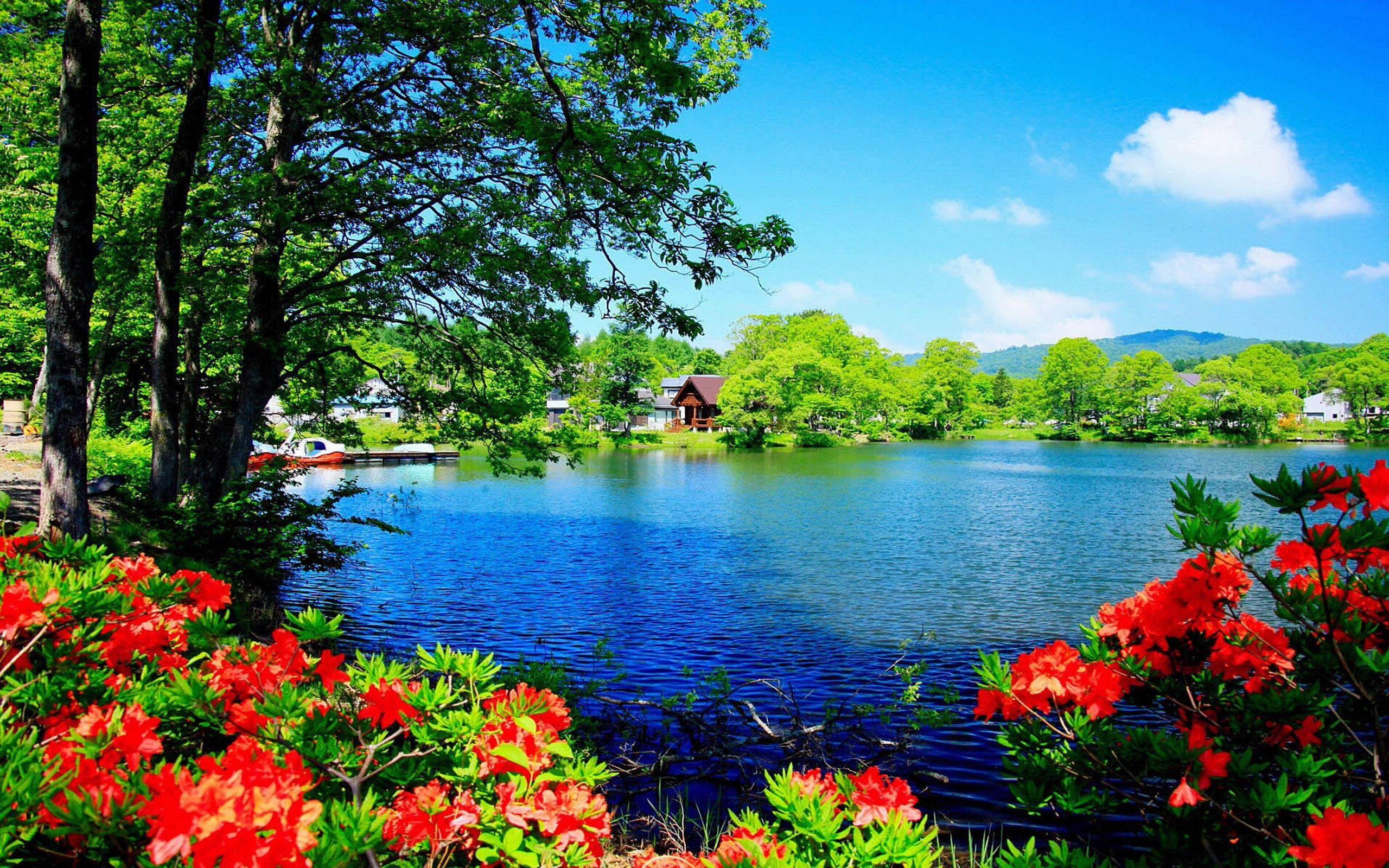 ✓ thousands of new images every. Beautiful Desktop Wallpapers Top Free Beautiful Desktop Backgrounds Wallpaperaccess
