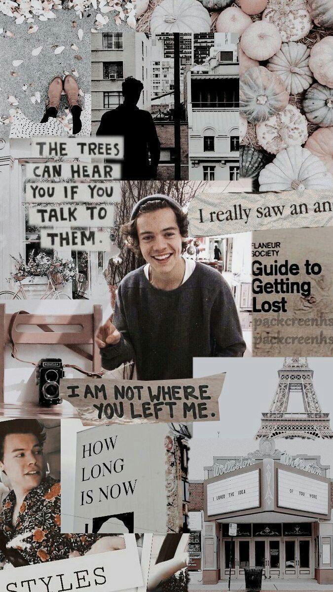 Break out your top hats and monocles; . Harry Styles Collage Wallpapers Top Free Harry Styles Collage Backgrounds Wallpaperaccess