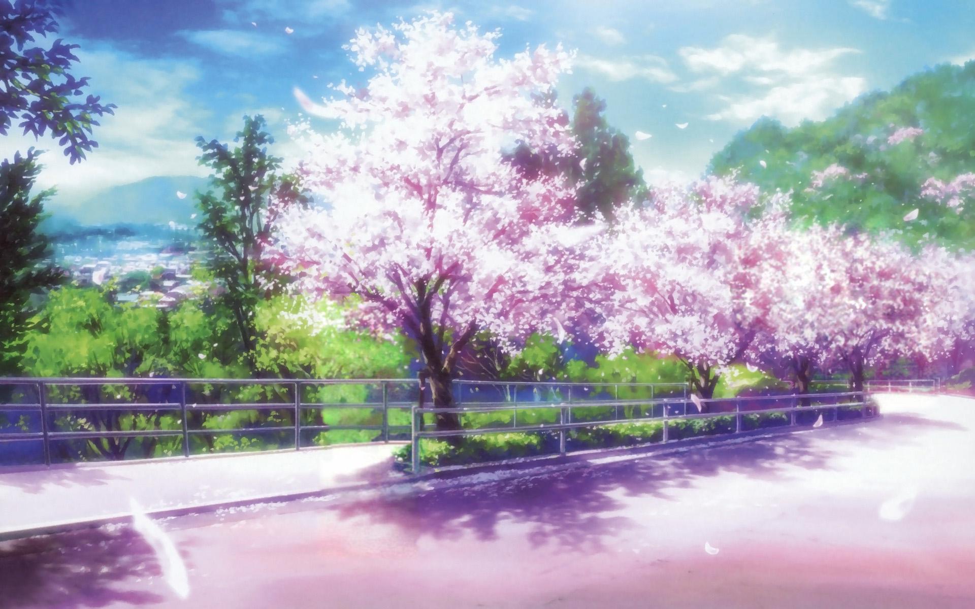 This hd wallpaper is about anime, original, sakura, samurai, town, original wallpaper dimensions is 1900x1067px, file size is 504.4kb. Anime Sakura Tree Wallpapers Top Free Anime Sakura Tree Backgrounds Wallpaperaccess