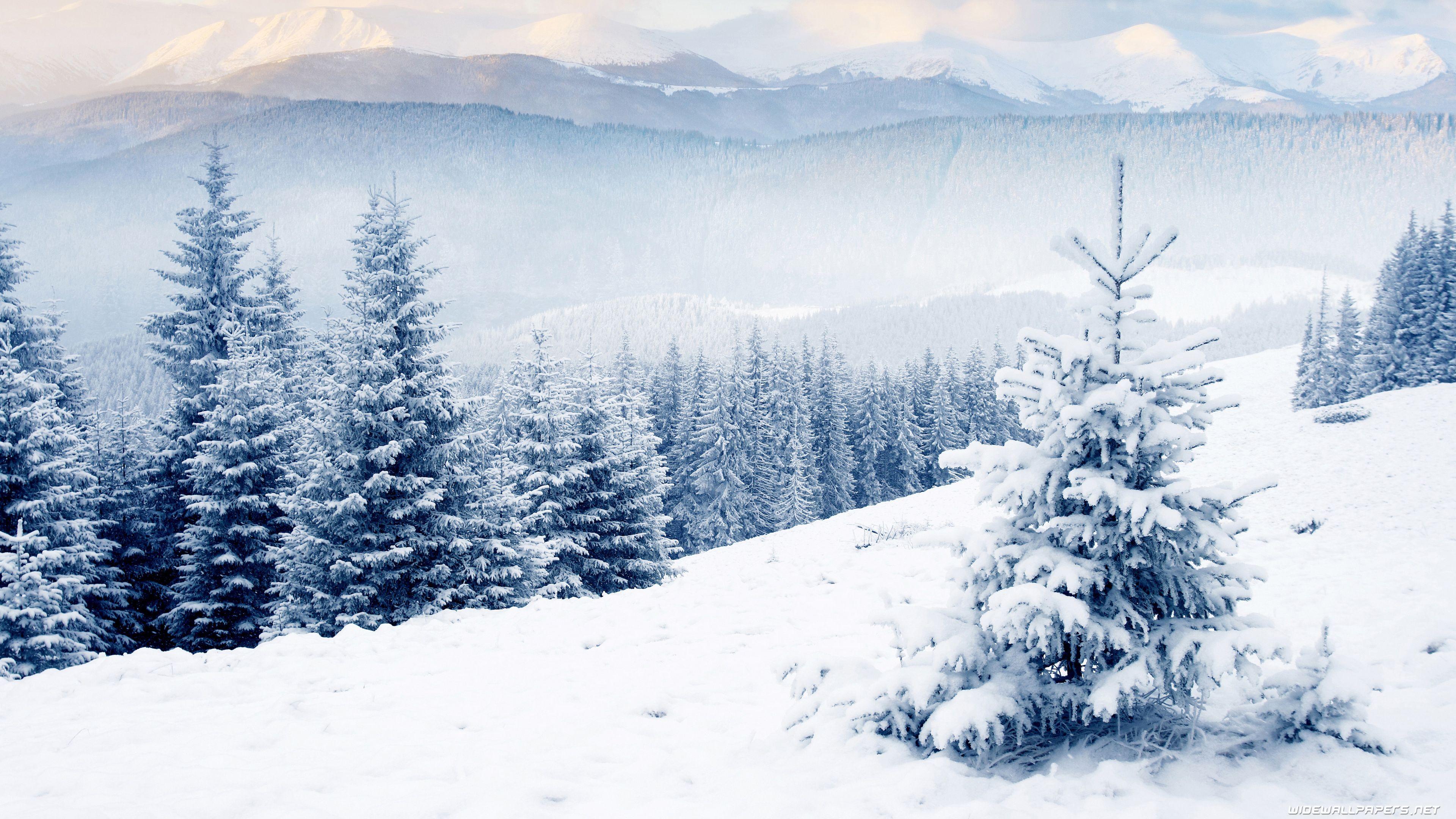 40000+ high quality wallpapers & backgrounds. Winter Wallpapers Top Free Winter Backgrounds Wallpaperaccess