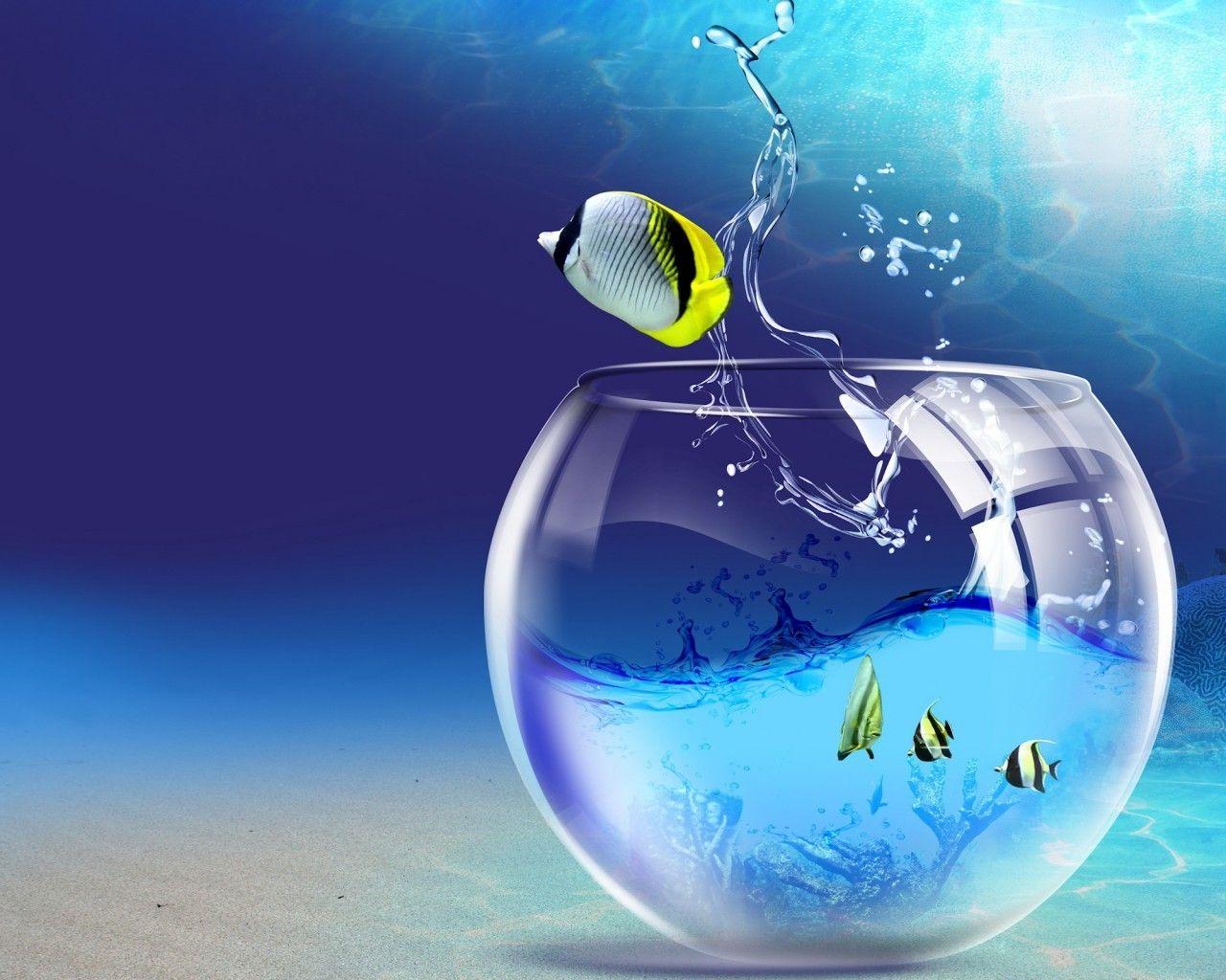 Images have the power to move your emotions like few things in life. Full Screen Hd Wallpapers Top Free Full Screen Hd Backgrounds Wallpaperaccess