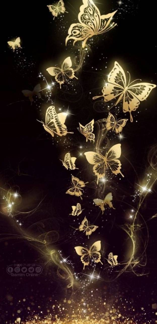 Huge collection, amazing choice, 100+ million high quality, affordable rf and rm images. Night Butterfly Wallpapers Top Free Night Butterfly Backgrounds Wallpaperaccess