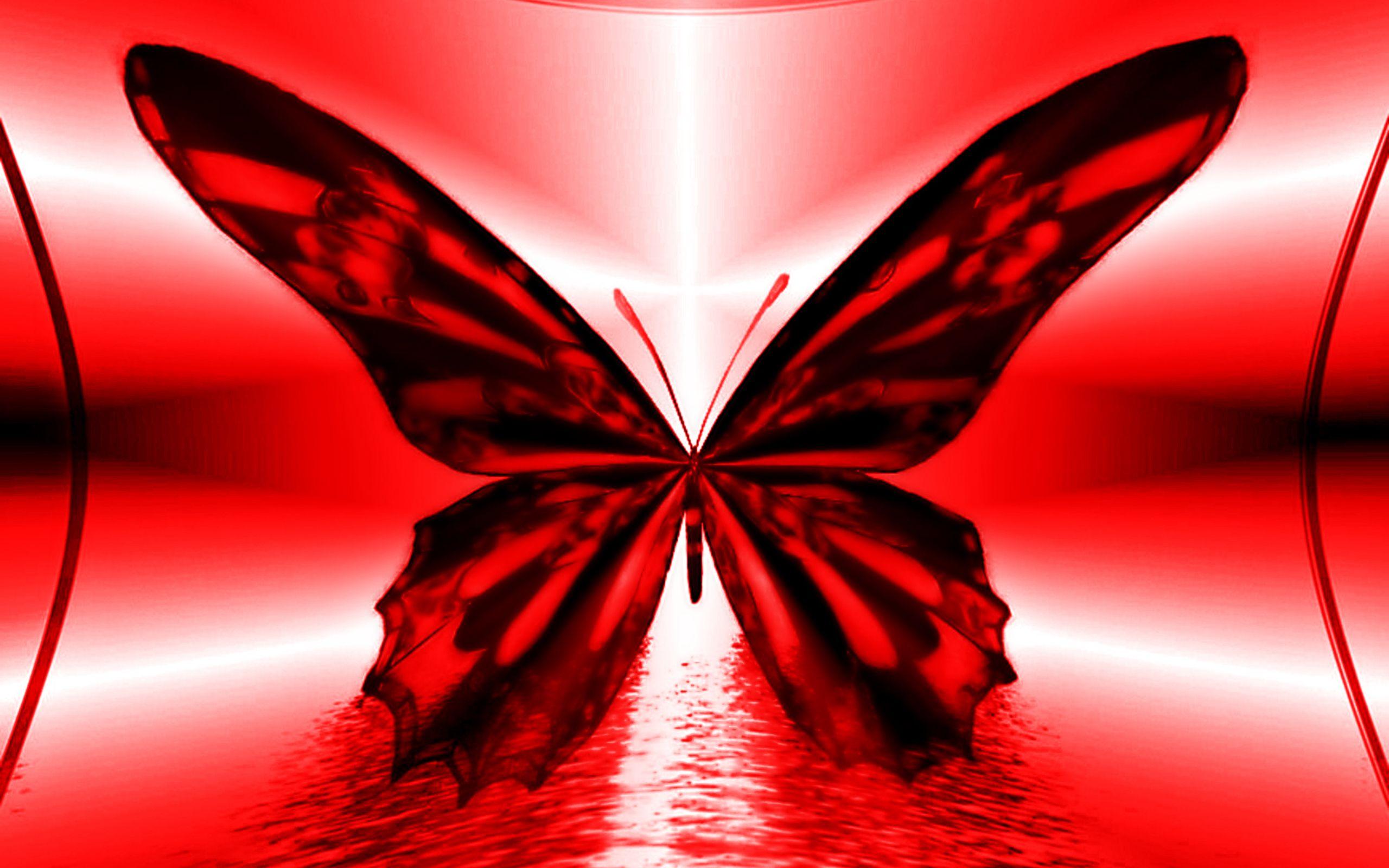 Choose from hundreds of free butterfly wallpapers. Red Butterfly 3d Wallpapers Top Free Red Butterfly 3d Backgrounds Wallpaperaccess