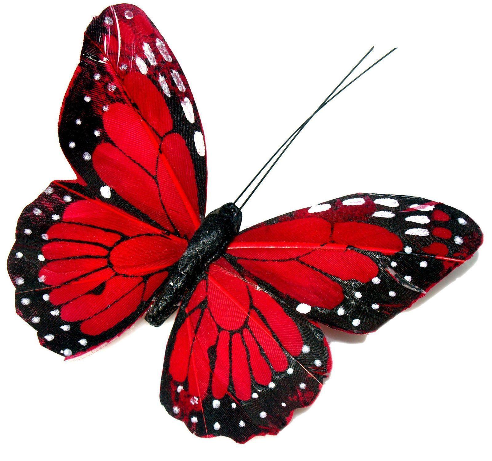 Find professional butterfly 3d models for any 3d design projects like virtual reality (vr), augmented reality (ar), games, 3d visualization or animation. Red Butterfly 3d Wallpapers Top Free Red Butterfly 3d Backgrounds Wallpaperaccess