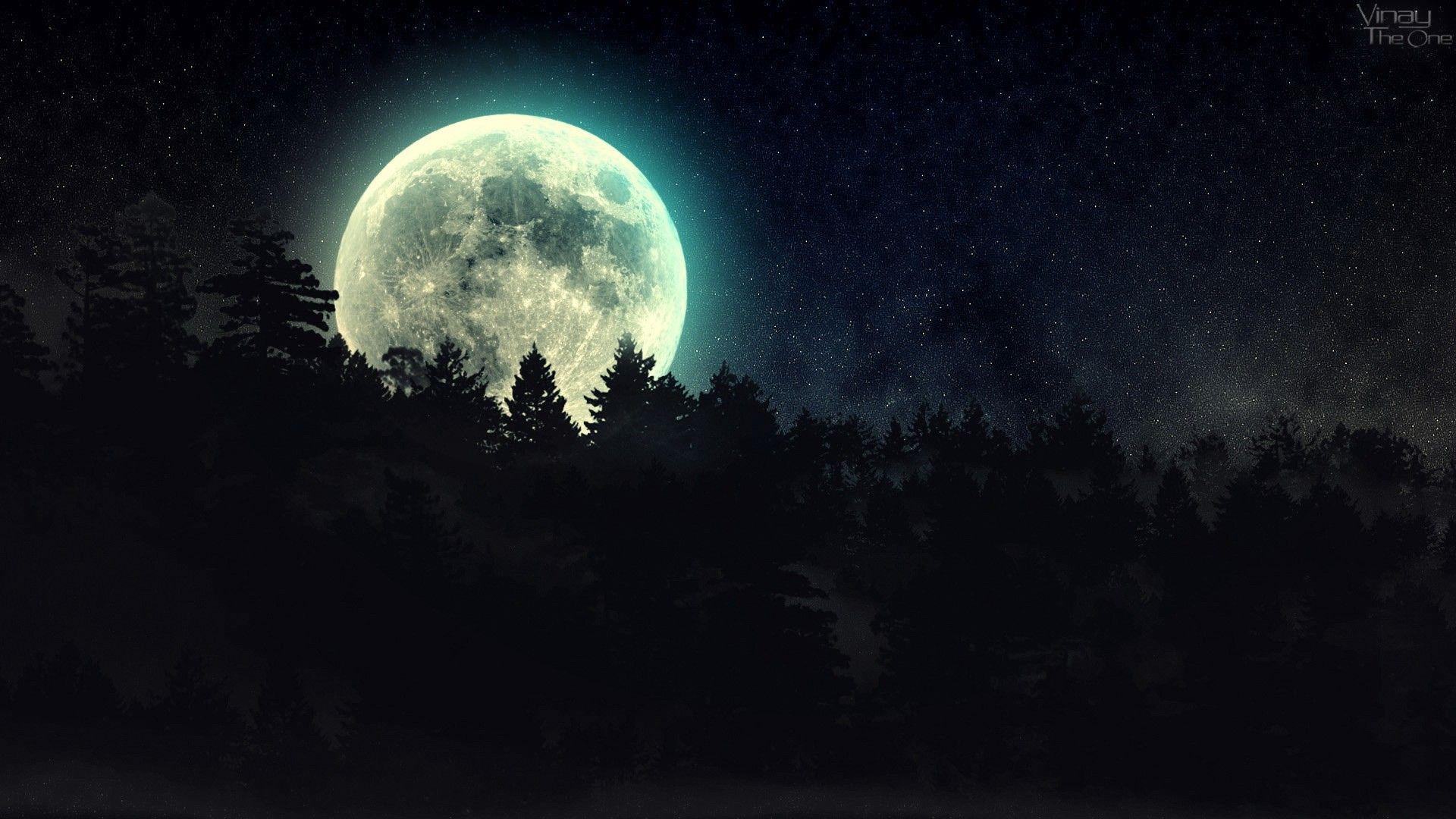 Pemain sejati harus pake wallpaper ml berkualitas tinggi juga dong. Moonlight Forest Wallpapers Top Free Moonlight Forest Backgrounds Wallpaperaccess