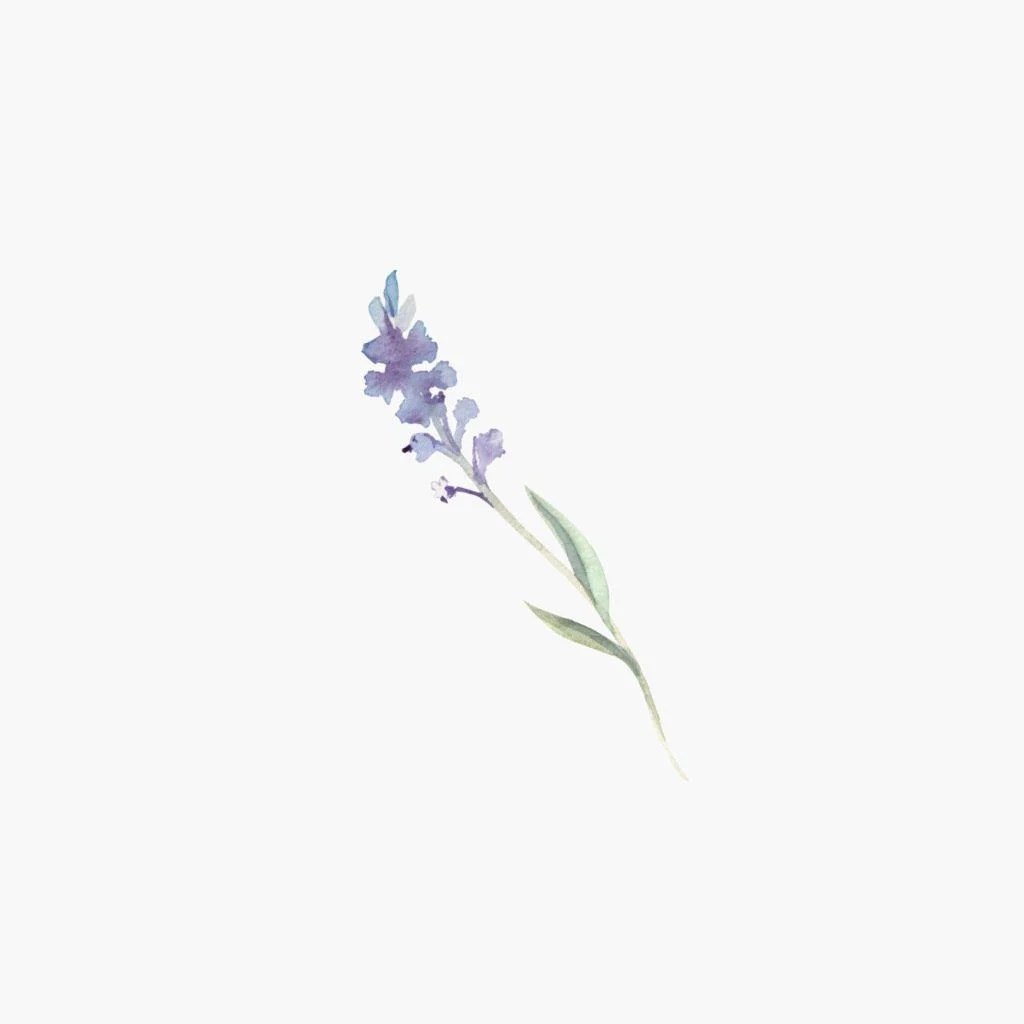 Botanical modern aesthetic line art for home decor, wall art pos. Minimalist Purple Flowers Wallpapers Top Free Minimalist Purple Flowers Backgrounds Wallpaperaccess