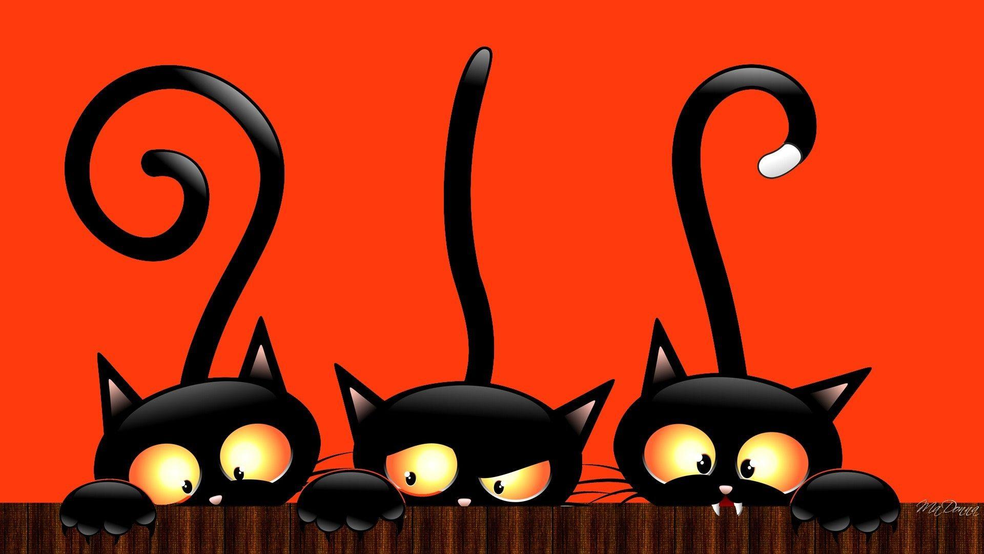 There is a good assortment . Halloween Cat Wallpapers Top Free Halloween Cat Backgrounds Wallpaperaccess