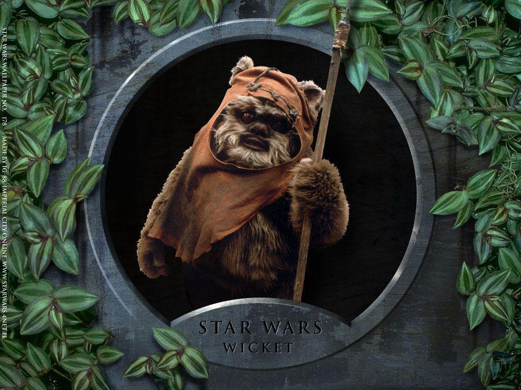Decorate your laptops, water bottles, notebooks and windows. Ewok Star Wars Wallpapers Top Free Ewok Star Wars Backgrounds Wallpaperaccess
