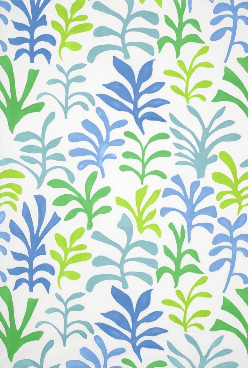 Matisse Wallpapers Top Free Matisse Backgrounds Wallpaperaccess