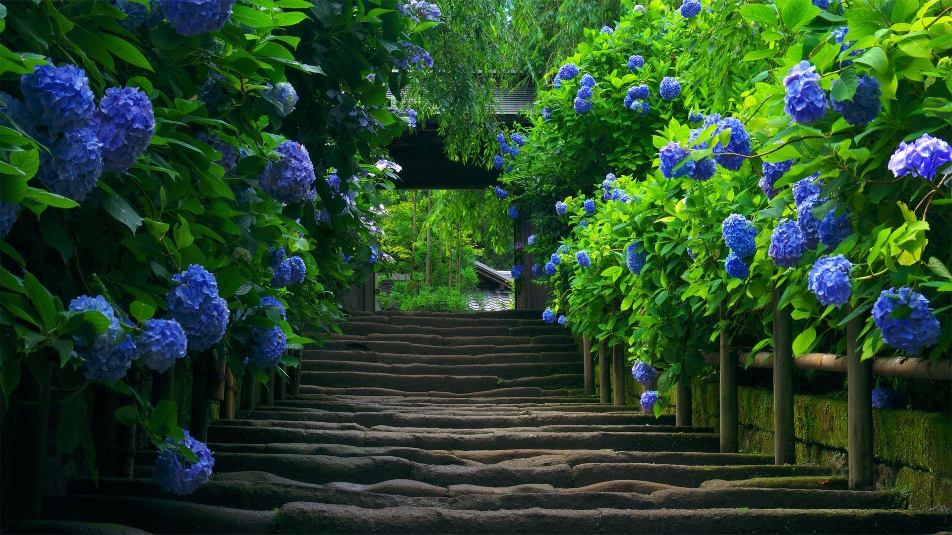 Find your perfect desktop wallpaper for your pc or laptop! Most Beautiful Desktop Wallpapers Top Free Most Beautiful Desktop Backgrounds Wallpaperaccess