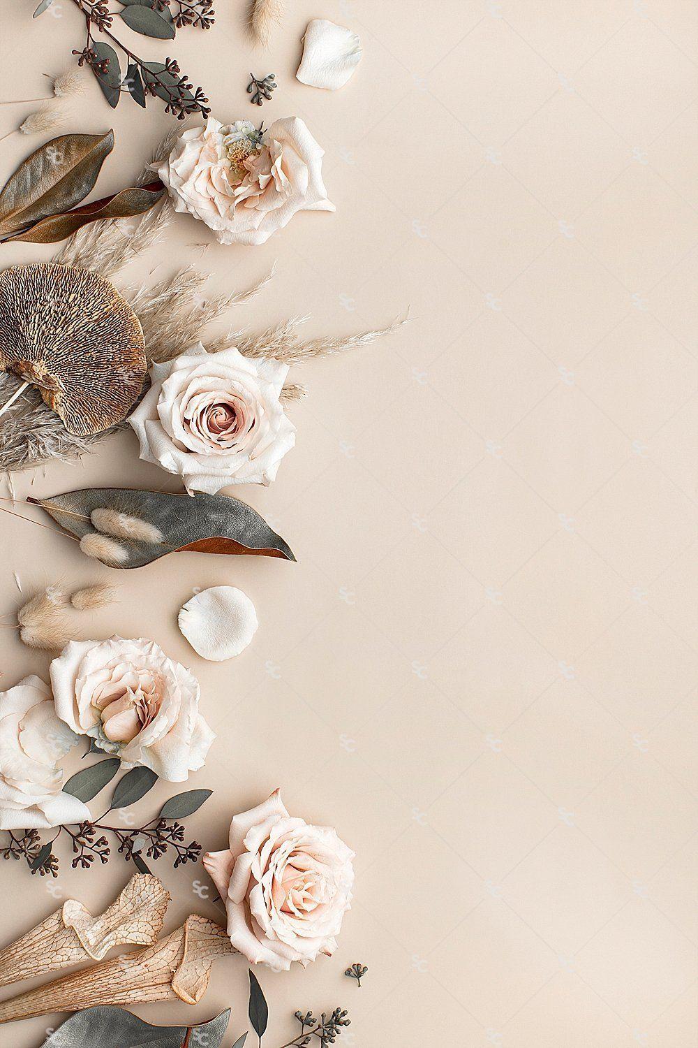 Shop for york wallcoverings flower wallpaper | beige in wallpaper by pattern at walmart and save. Beige Flower Wallpapers Top Free Beige Flower Backgrounds Wallpaperaccess