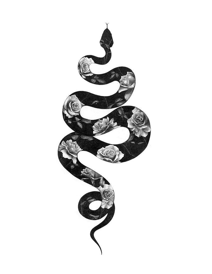 Snake Tattoo Wallpapers - Top Free Snake Tattoo Backgrounds - Wallpaperaccess 1100_x_850_jpg