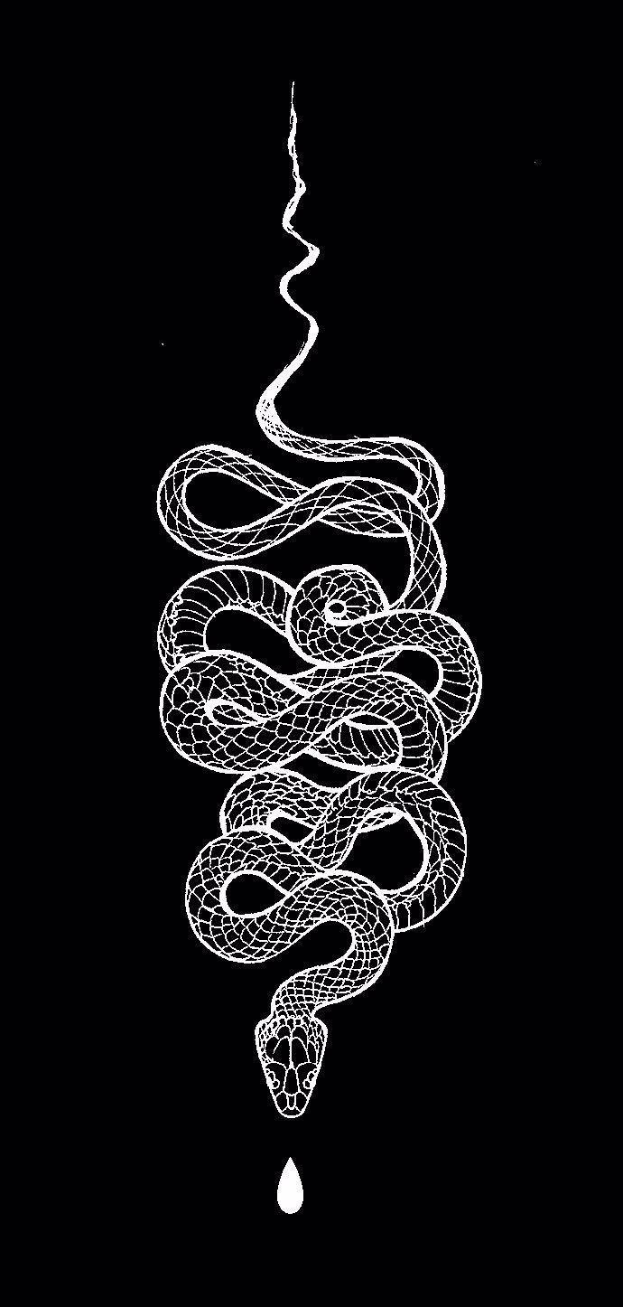 Snake Tattoo Wallpapers - Top Free Snake Tattoo Backgrounds - Wallpaperaccess 1446_x_690_jpg