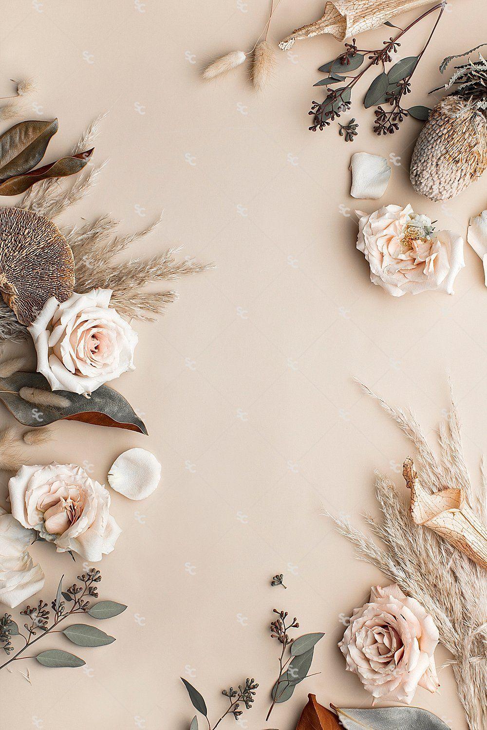 Lazzaro peacock pattern neutral wallpaper bird leaf floral glitter motif. Neutral Floral Wallpapers Top Free Neutral Floral Backgrounds Wallpaperaccess