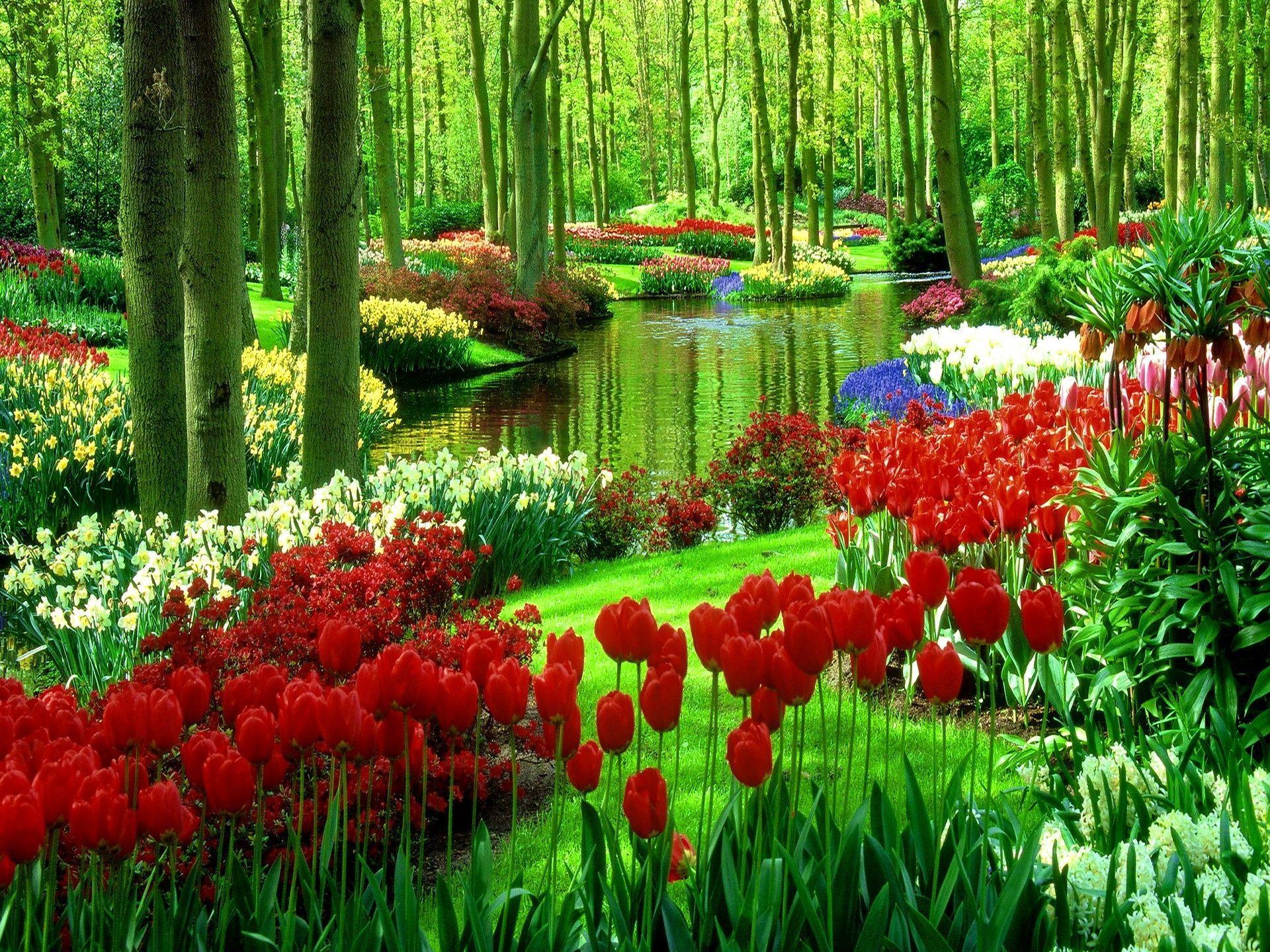See more ideas about spring background images, beautiful nature wallpaper, nature photography. Summer Nature Flower Wallpapers Top Free Summer Nature Flower Backgrounds Wallpaperaccess