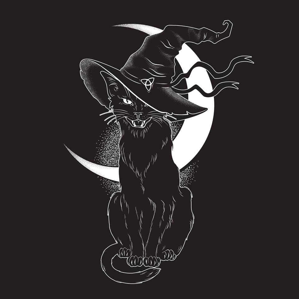Download 55834 black cat drawing stock illustrations, vectors & clipart for free or amazingly low rates! Beautiful Witch Cat Wallpapers Top Free Beautiful Witch Cat Backgrounds Wallpaperaccess