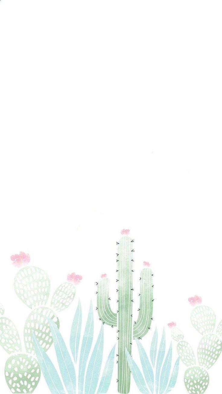Black & white succulents mural wallpaper. Pastel Cactus Wallpapers Top Free Pastel Cactus Backgrounds Wallpaperaccess