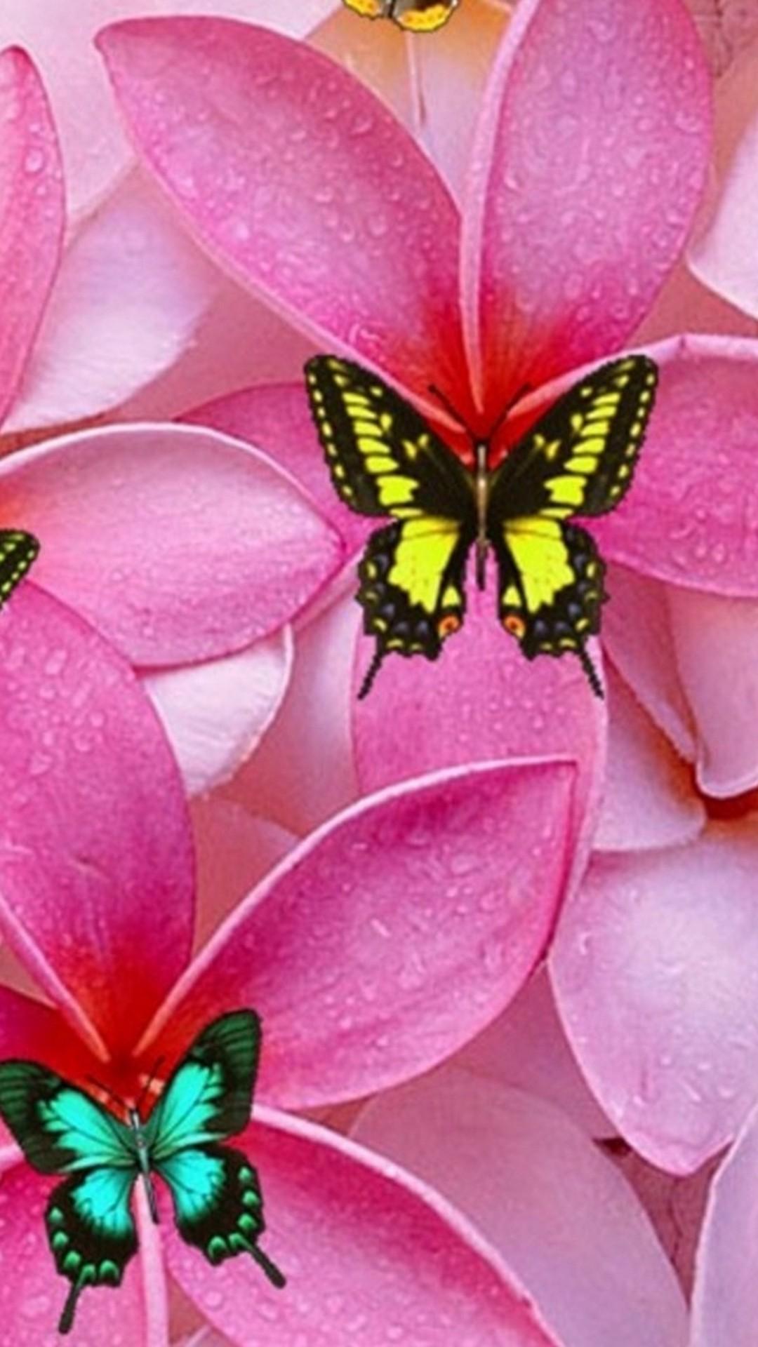 Make your device cooler and more beautiful. Cute Mobile Wallpapers Top Free Cute Mobile Backgrounds Wallpaperaccess