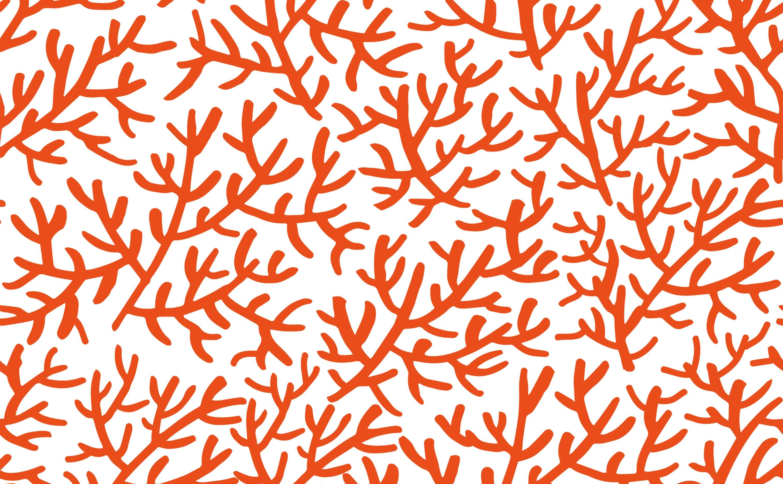 4.8 out of 5 stars 11. Coral Blue Wallpapers Top Free Coral Blue Backgrounds Wallpaperaccess