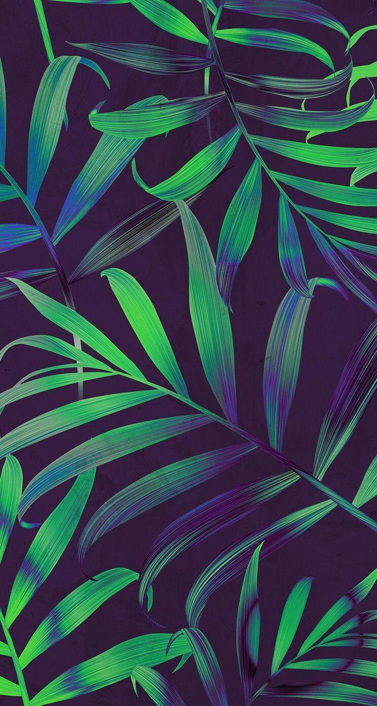 Hawaiian Flower Wallpaper Iphone : 20 Free Flowers Iphone Wallpapers Premiumcoding